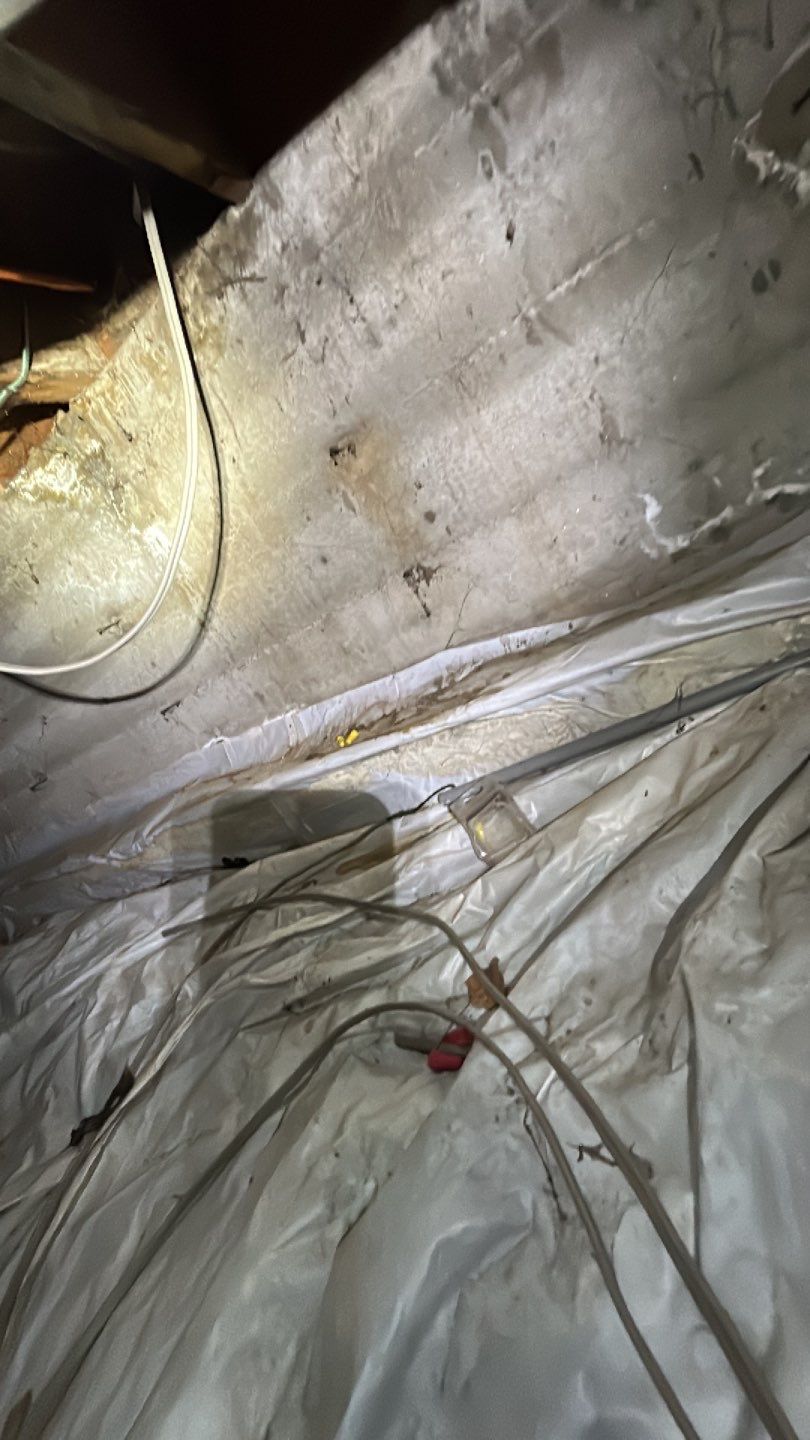 Sewage Backup by Accountable Home Services