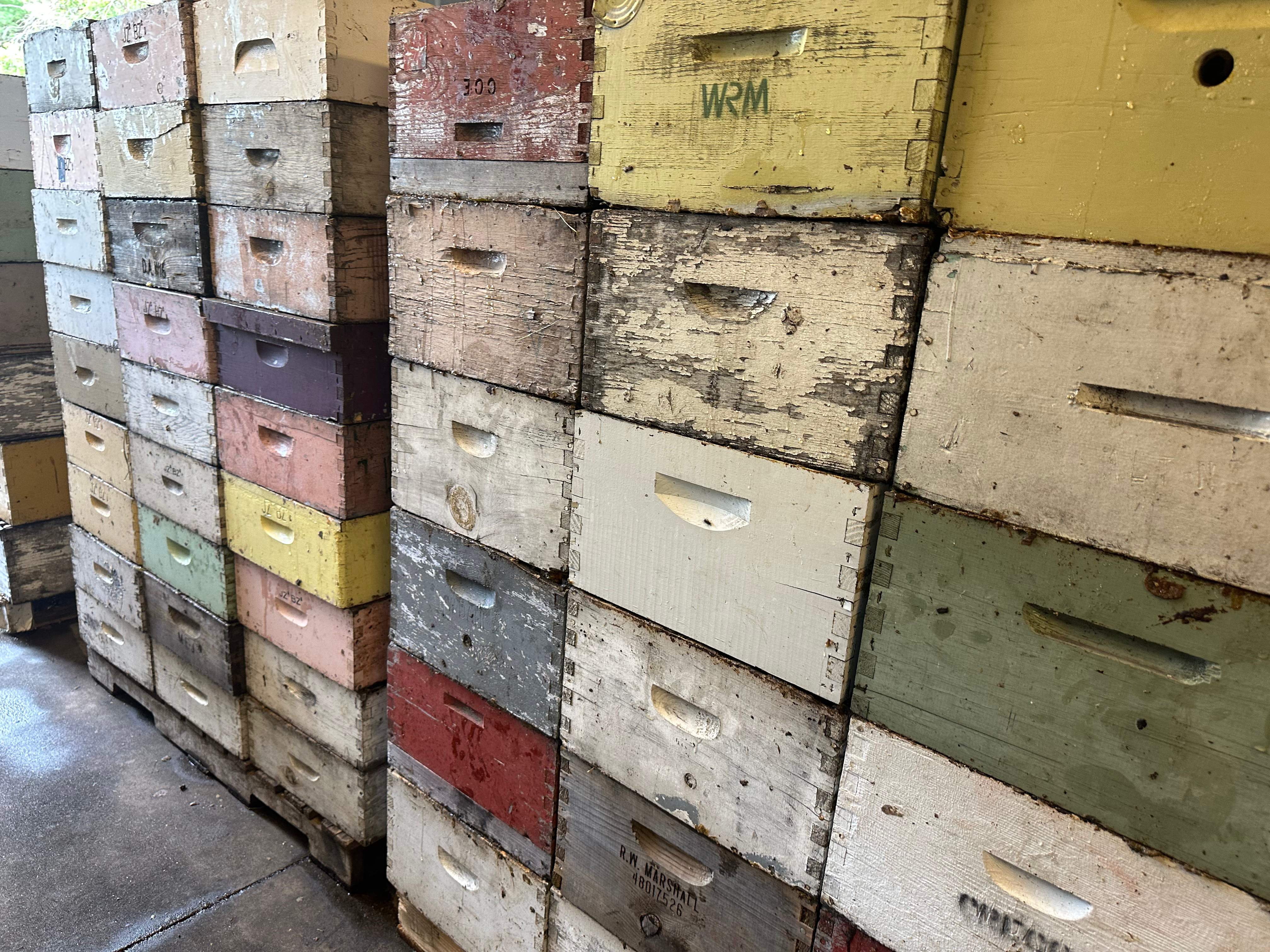 BeeGirl's Honey House in the Midwest by Rockwall Honey Bee Company