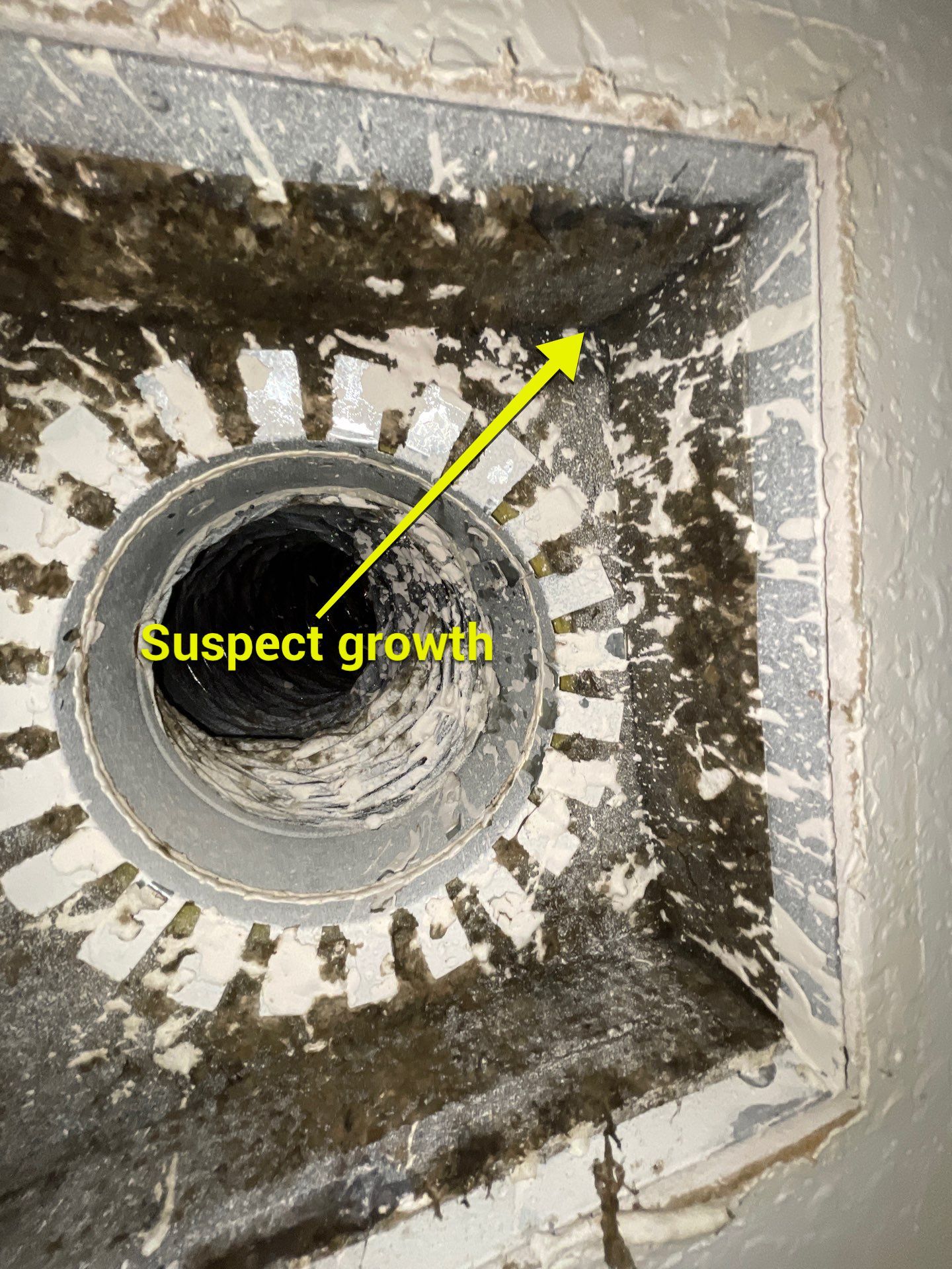 Air Duct Cleaning in Leesburg by Hygienic Air, Inc