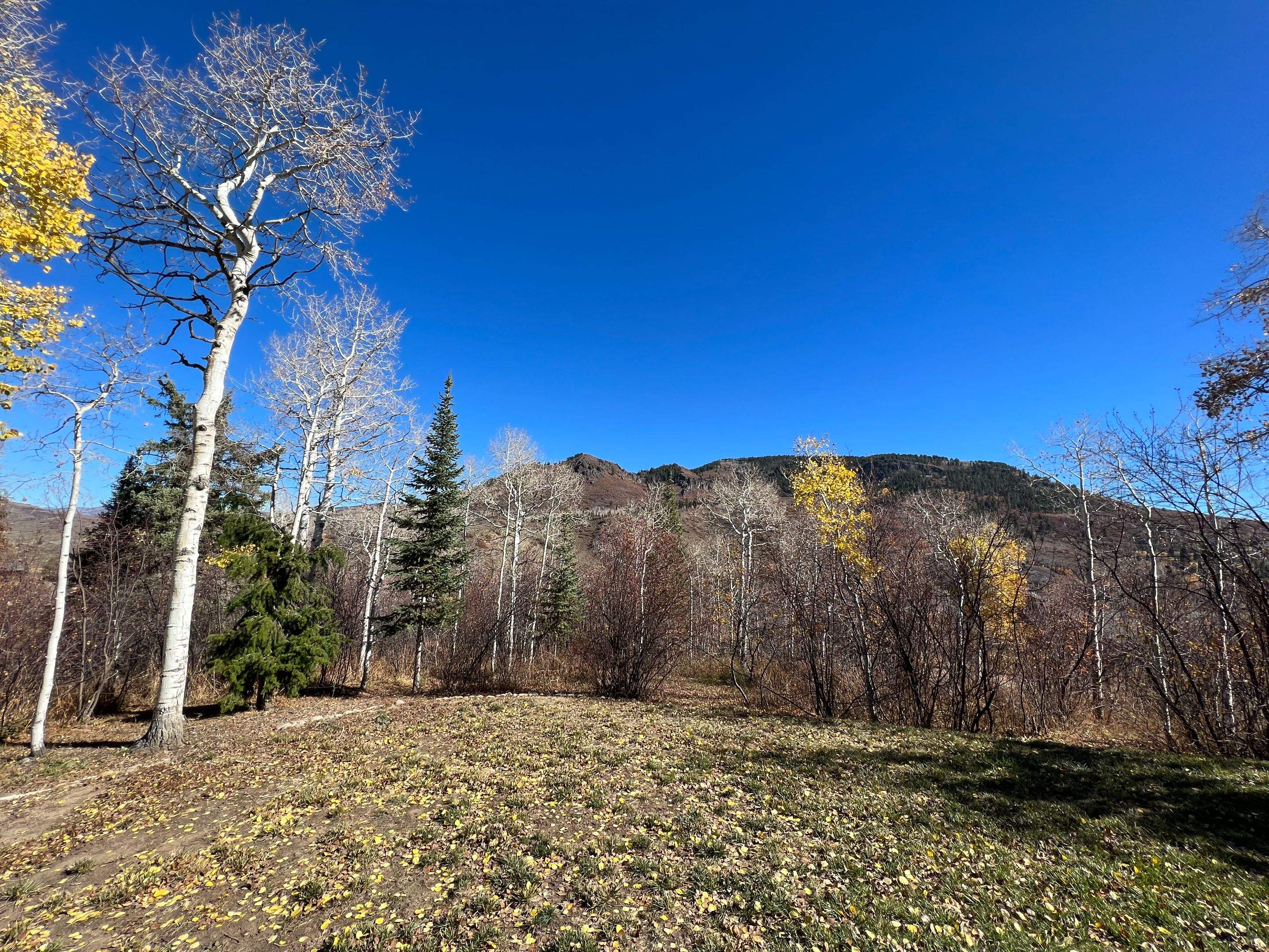 Property Management using Seasonal rental by Preferred Properties Steamboat