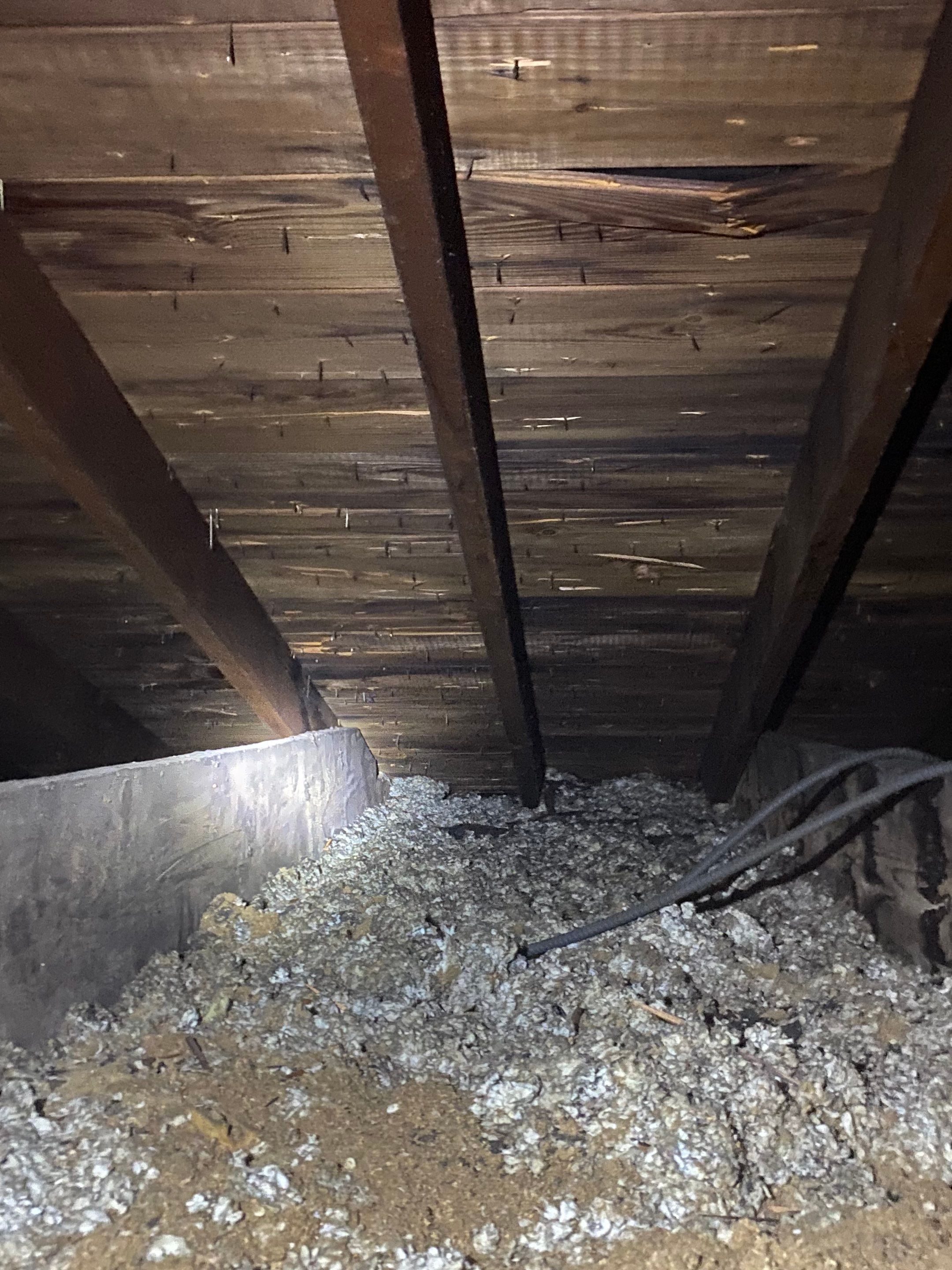Silver Birch Shingles by Reimagine Roofing