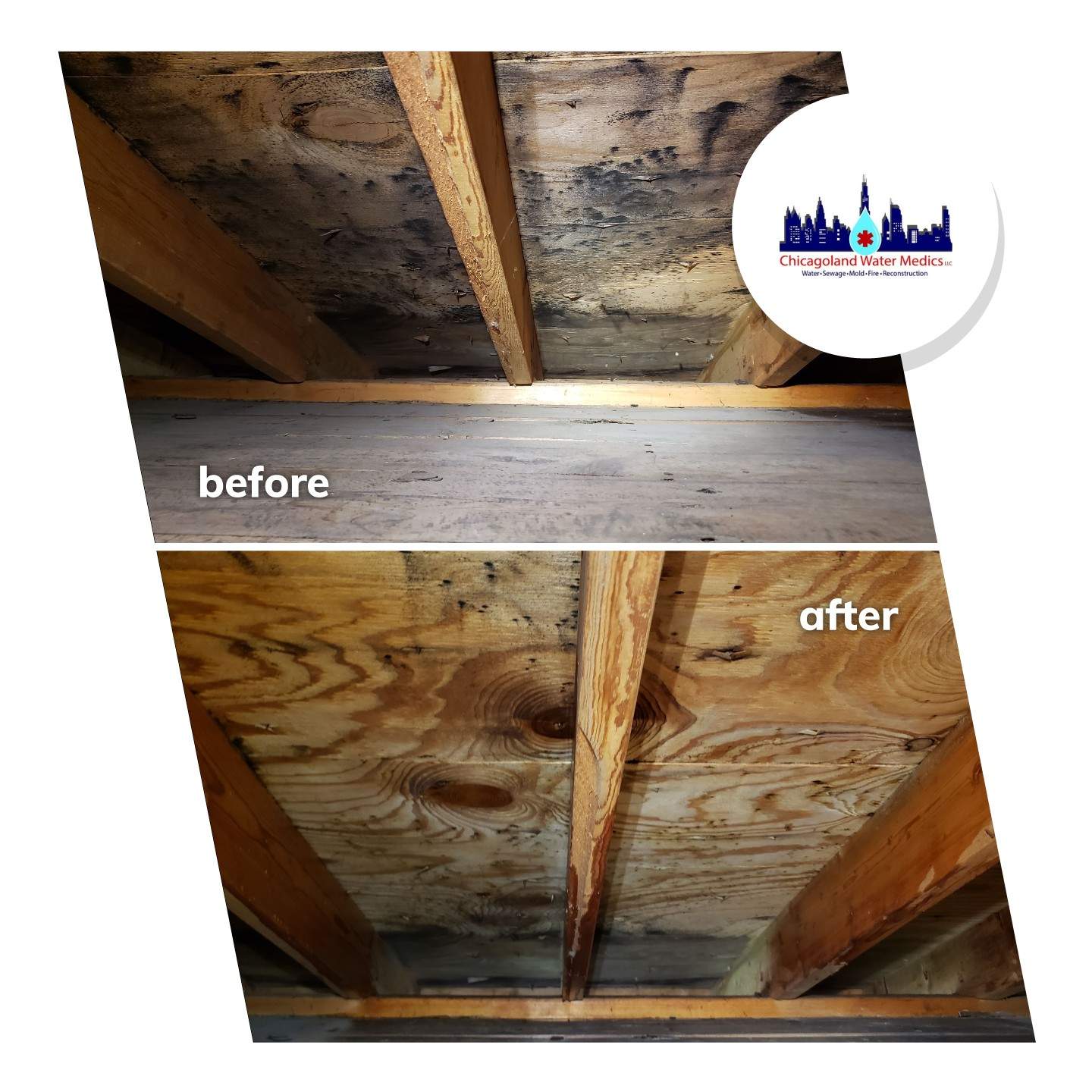 Attic Mold Remediation by Chicagoland Water Medics