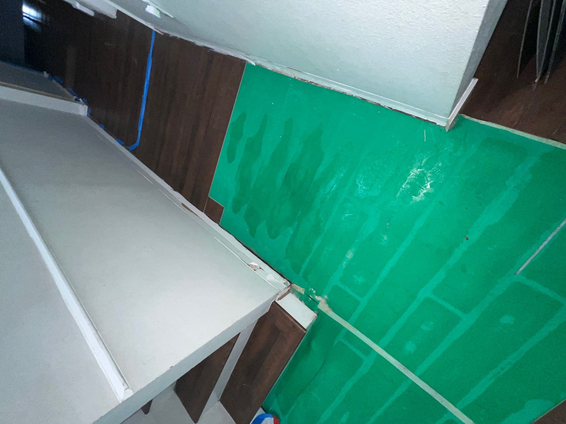 Stansell - water and mold photos  by THE RAPID TEAM