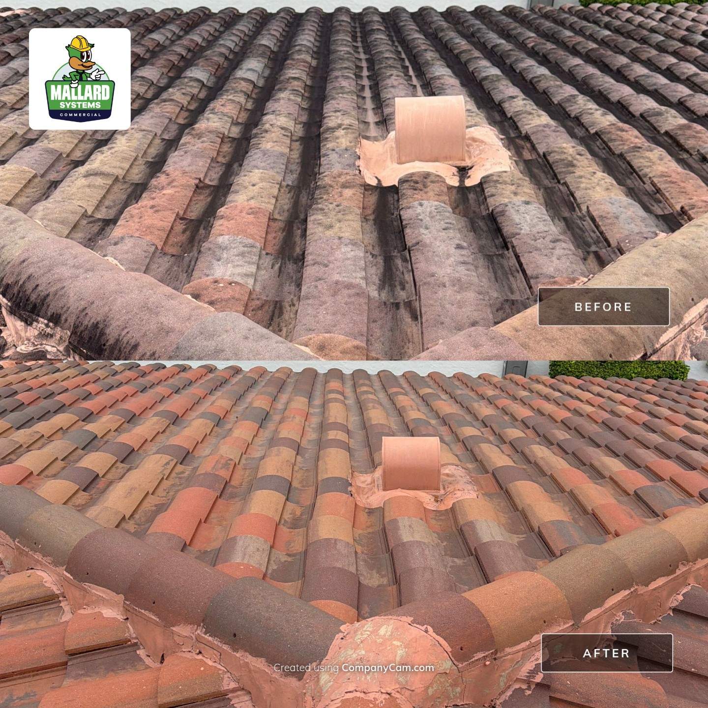 Residential Tile Roof Cleaning in Windermere by Mallard Systems