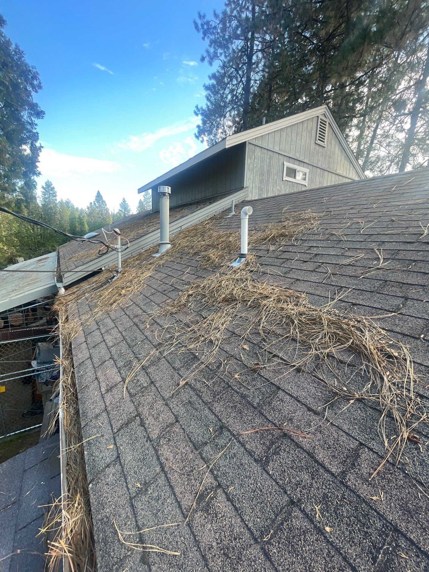 Roof Rejuvenation using Roof Maxx Treatment by Roof Maxx of Folsom