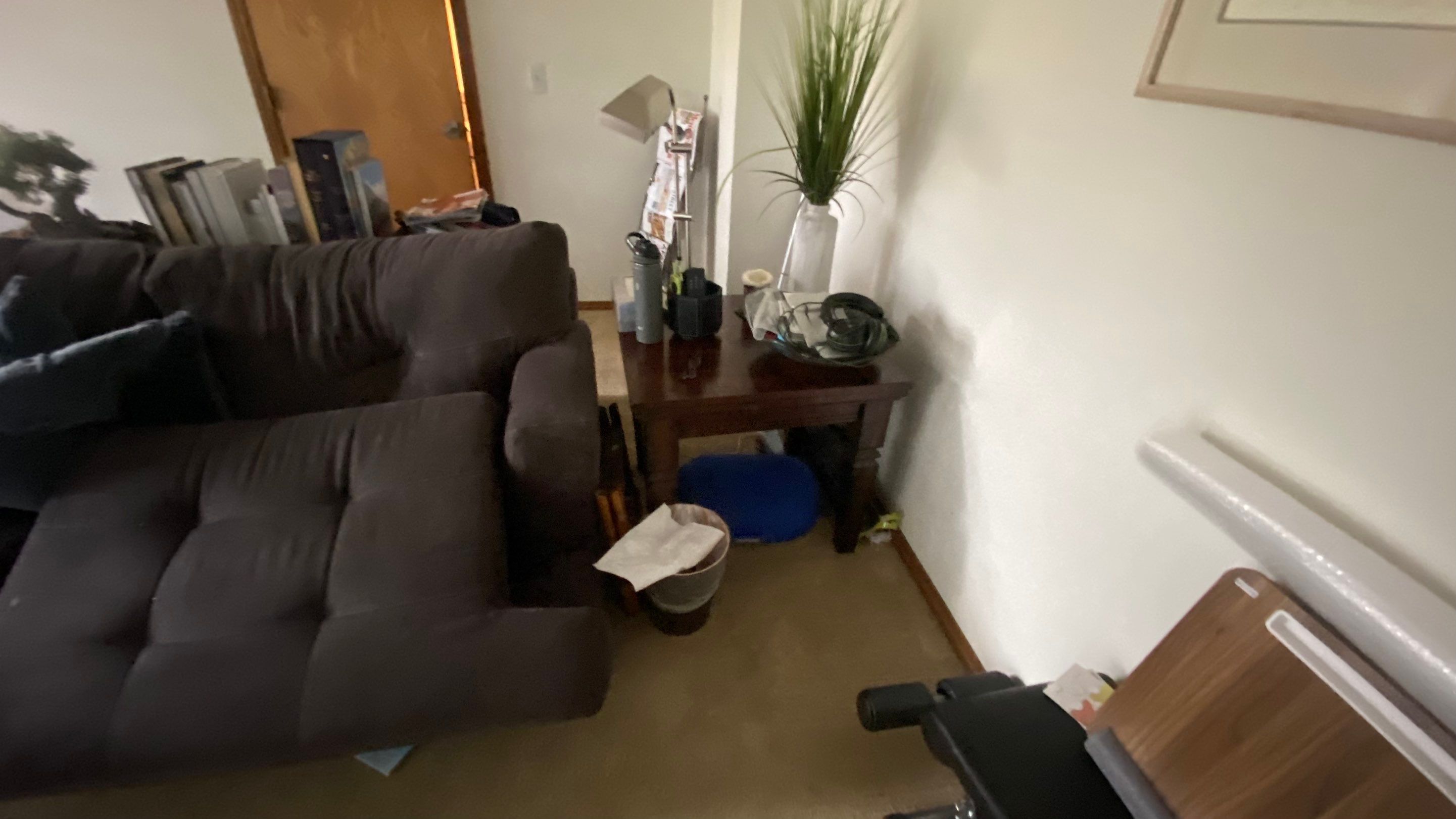 House cleaning in Lake Oswego by Cloud 9 Professional Cleaning Services