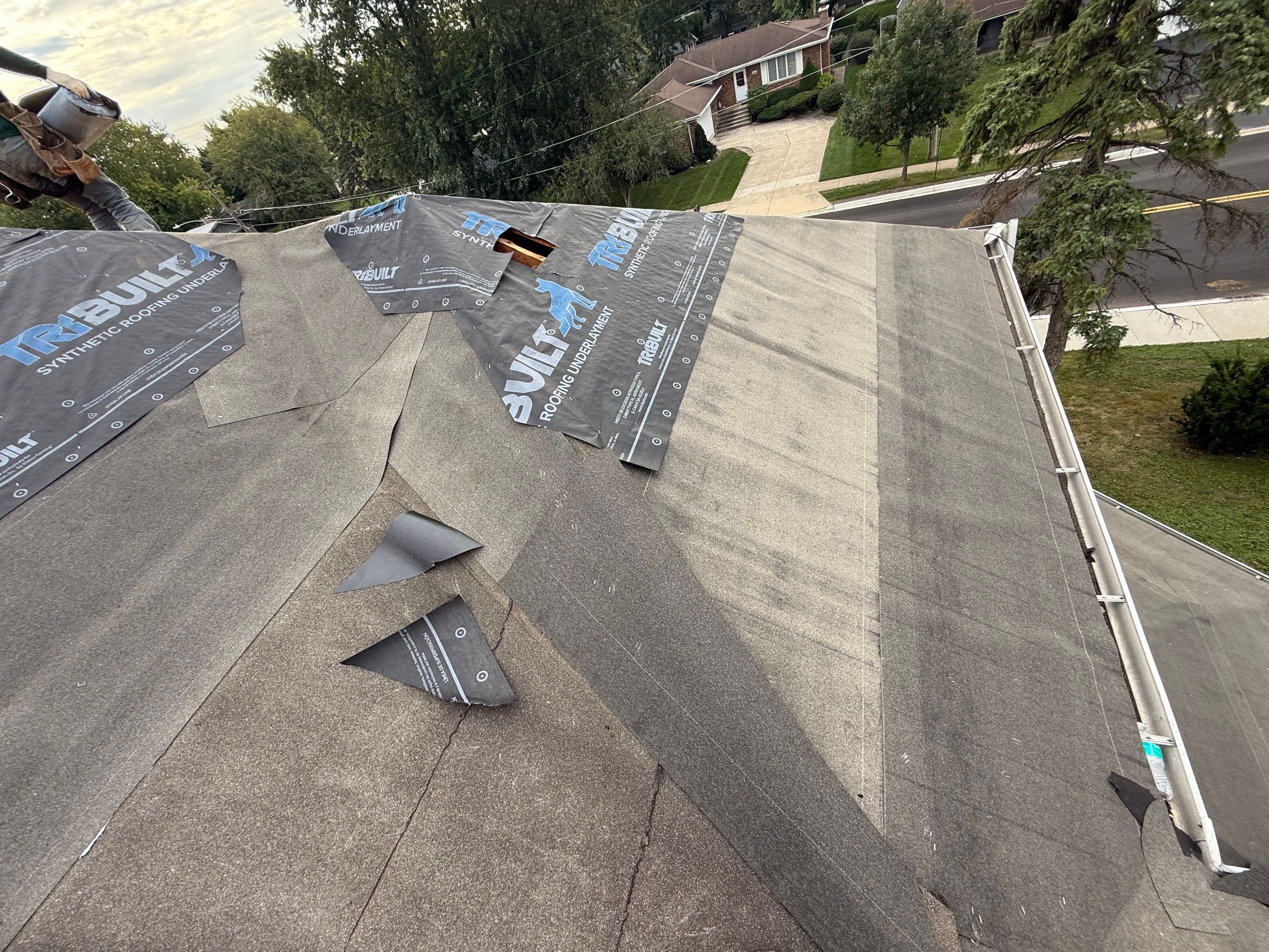 Roof and windows by Optimal Home Improvement 