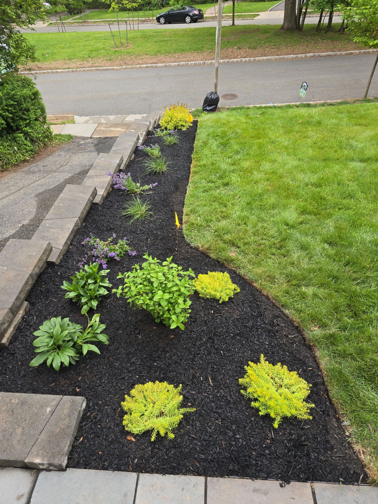  Landscape Planting  by K Macken Landscaping LLC