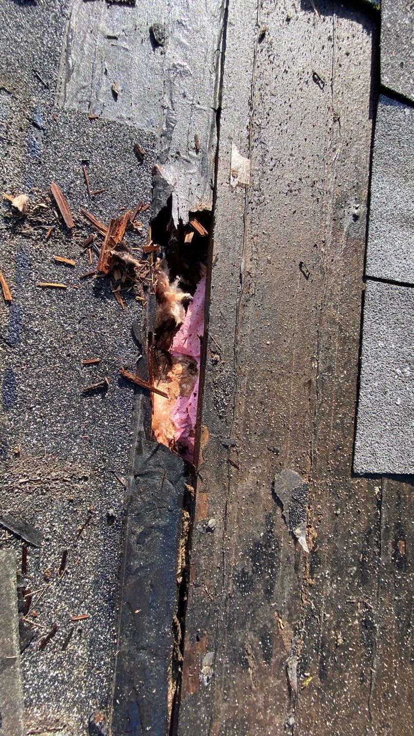 Residential Roofing Installation using GAF Timberline HDZ by Sensible Home Solutions