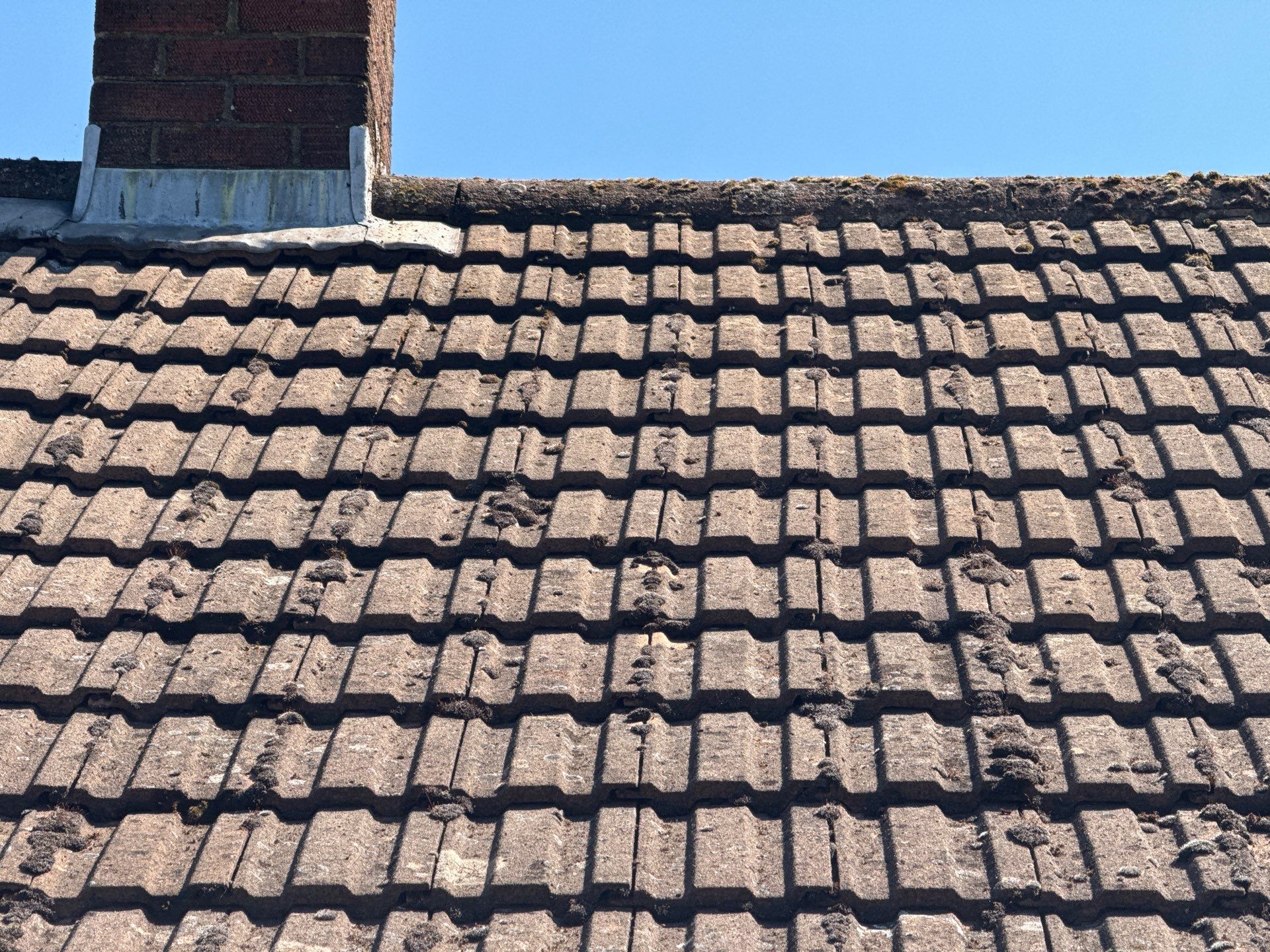 Roof Clean by Ges Exterior Cleaning ltd