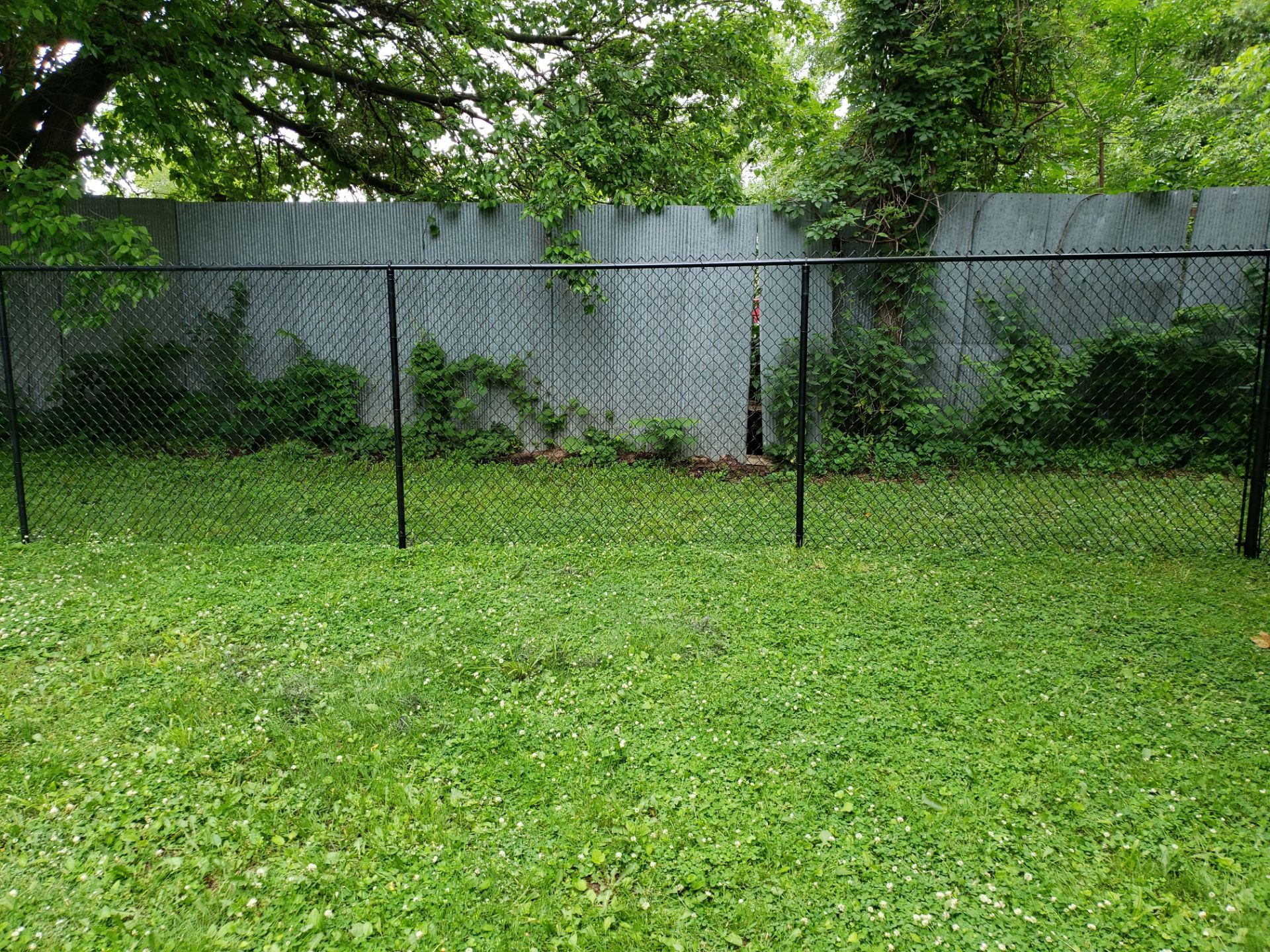 Black Vinyl Chain Link Fence Installation in Charles City by Perfect Picket Fence and Stain