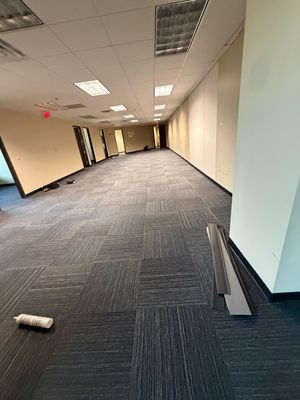 Project in Memphis