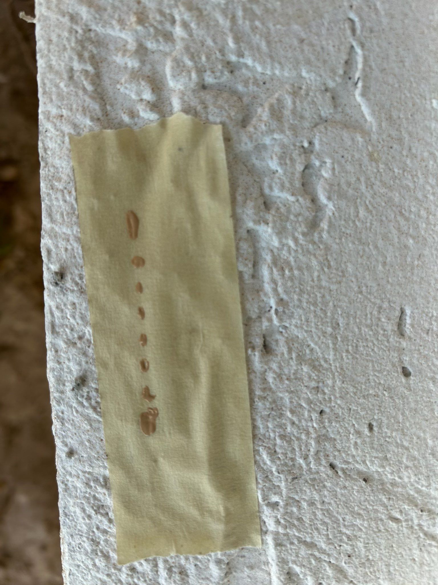 Project in Venice by Sunbelt Home Solutions