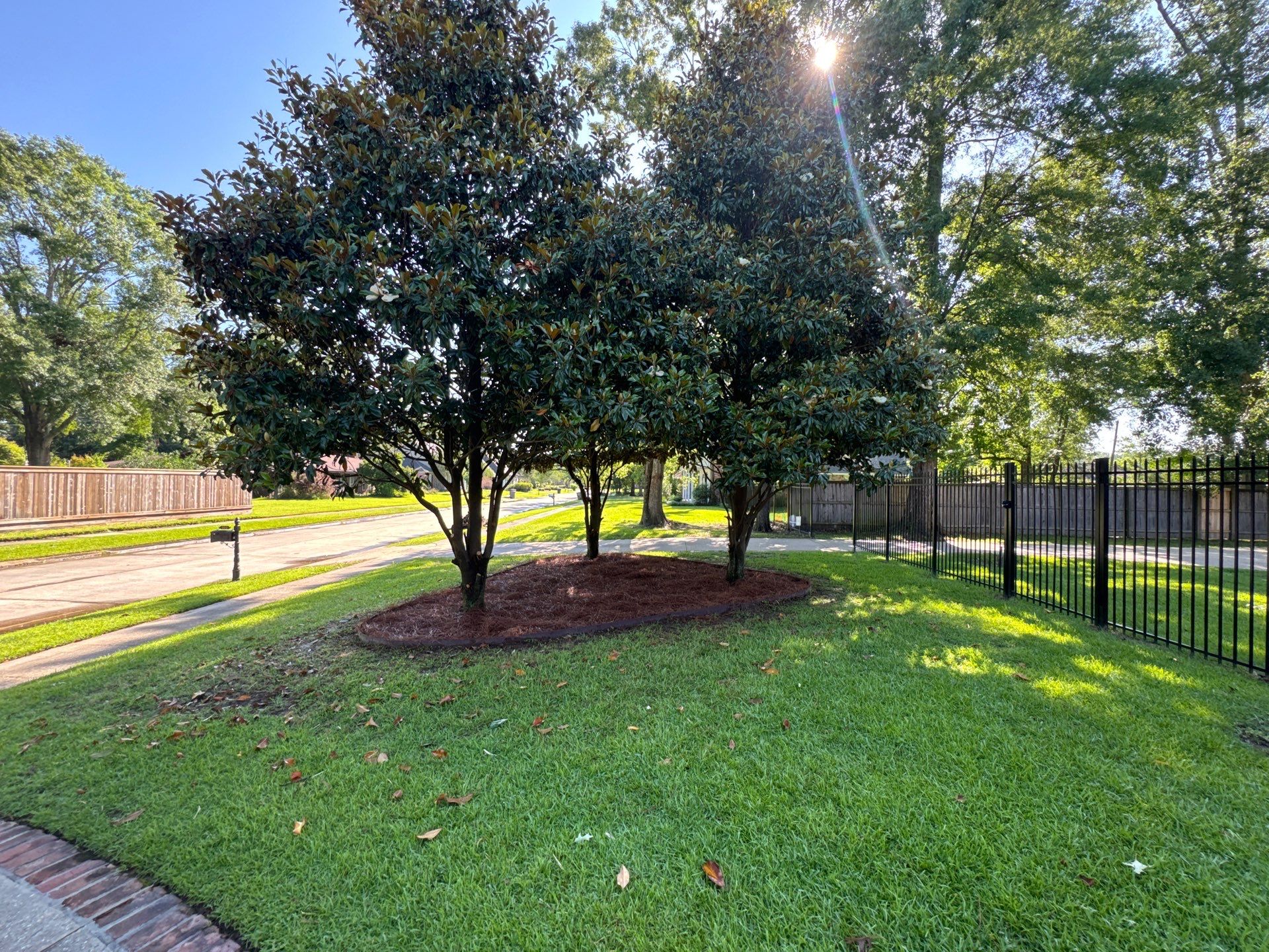 RESIDENTIAL LAWN, MAINTENANCE AND LANDSCAPING by CutScape, LLC.