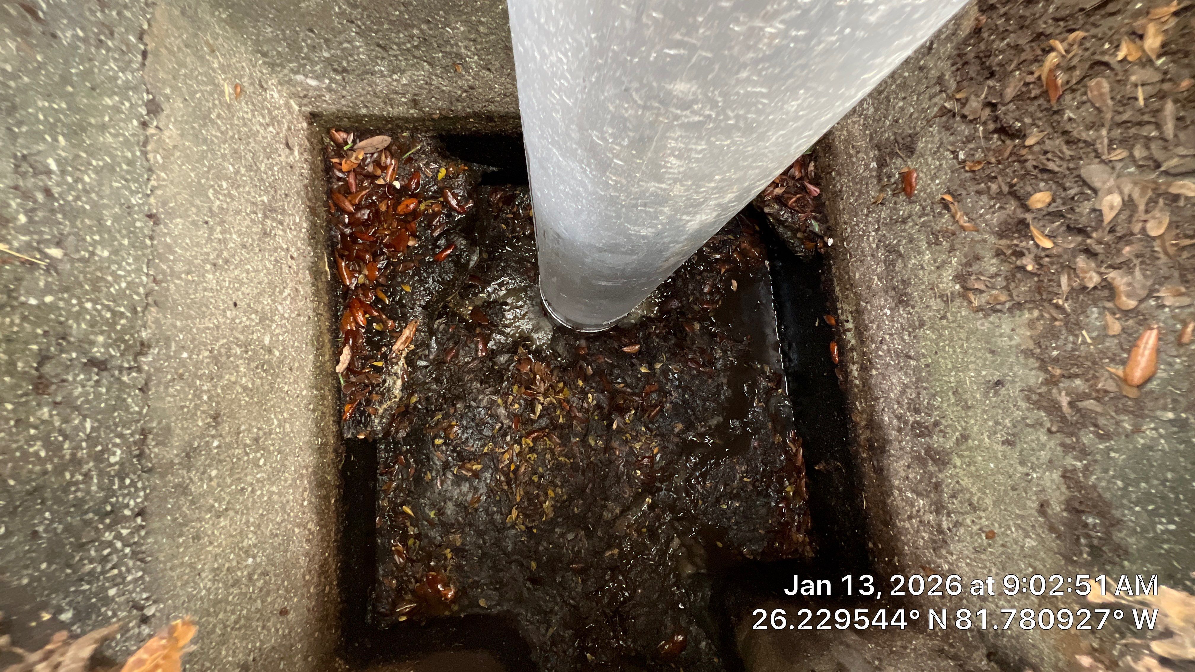 Naples Community Root Intrusion Investigation with P.R.S. by APS Power & Water