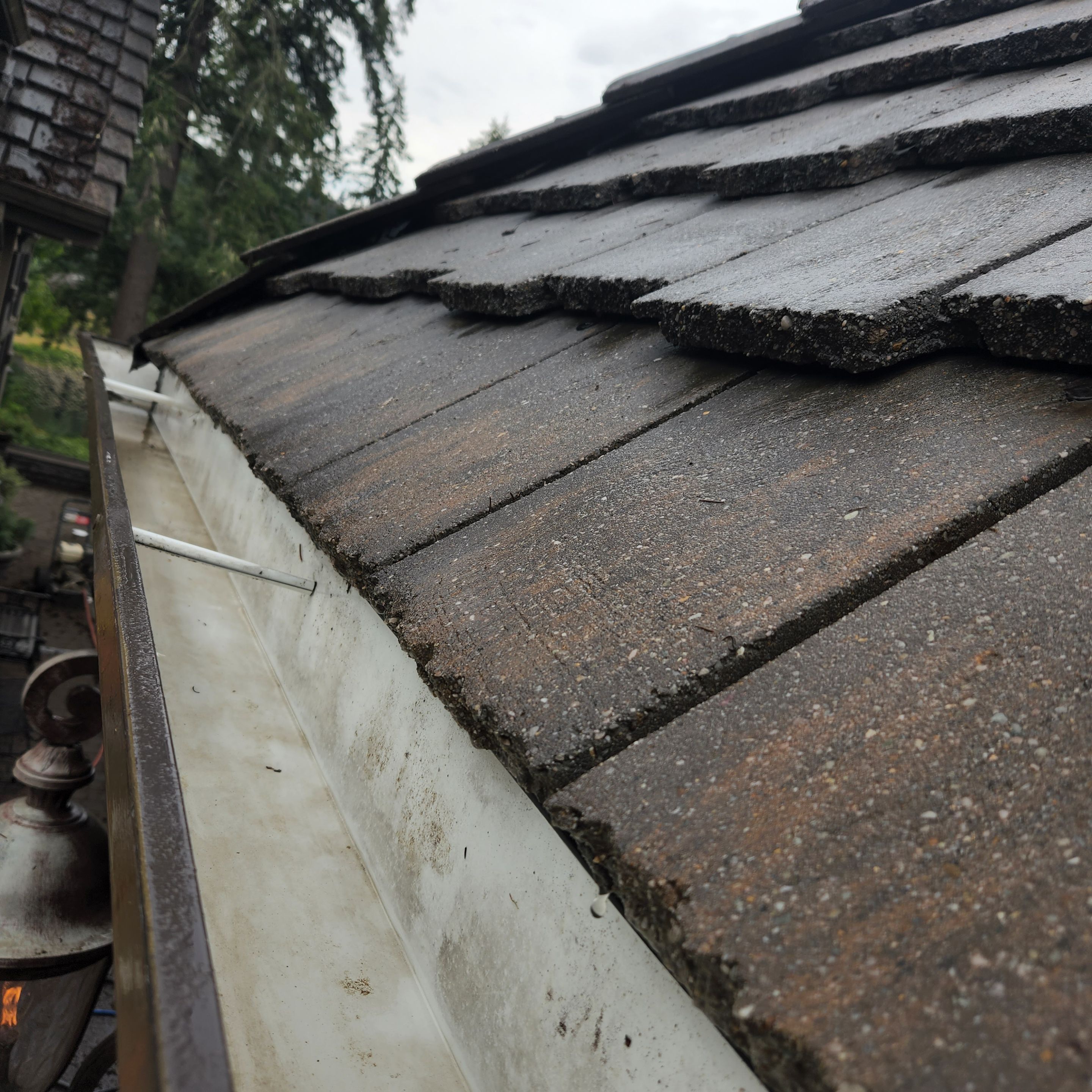 Moss Removal/ Treatment using Biocide by Willamette Outdoor Wash LLC