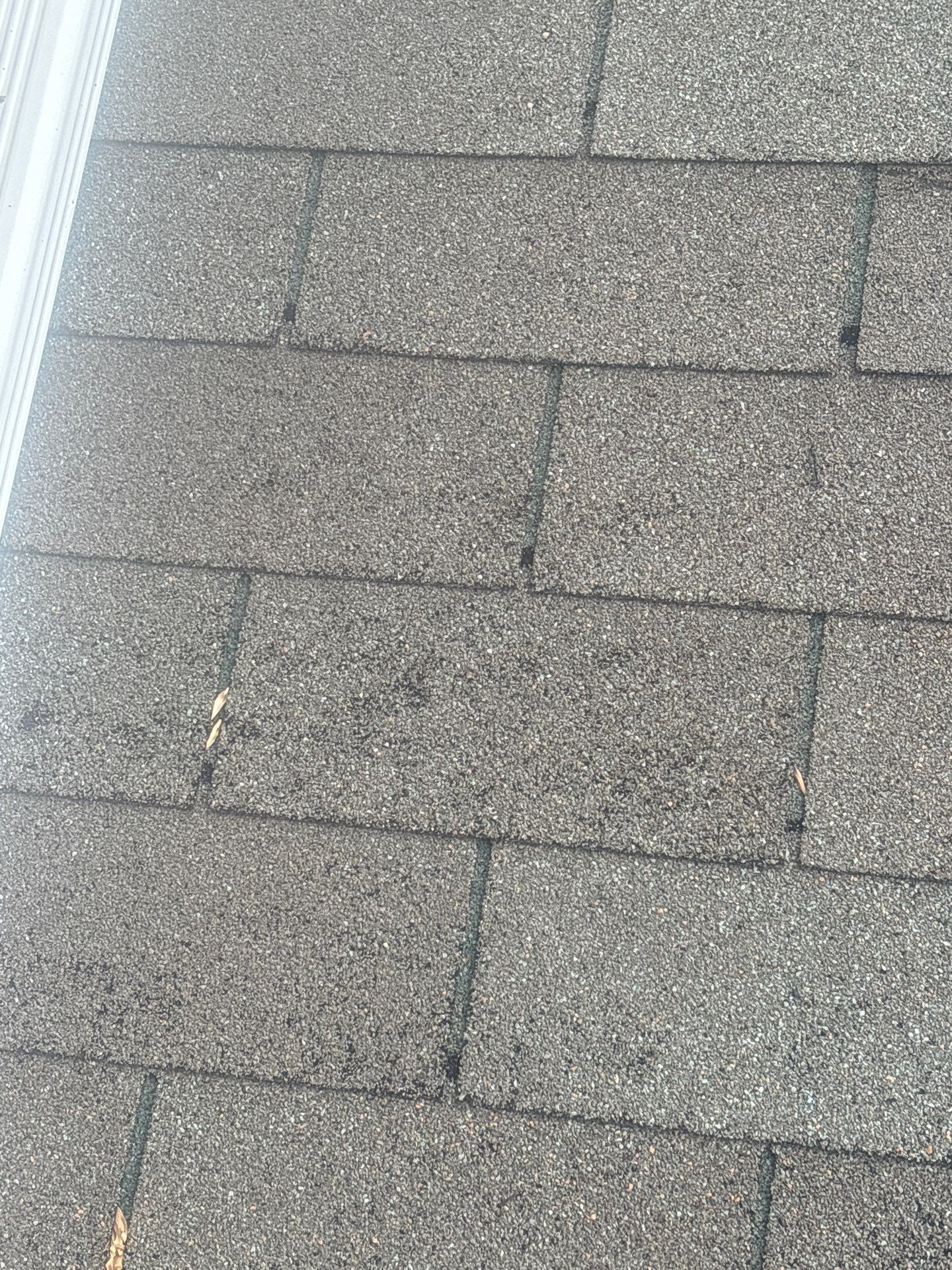 New Roof Install using Tamko Titan- Rustic Slate in Prince Frederick, MD by Storm Ready Exteriors