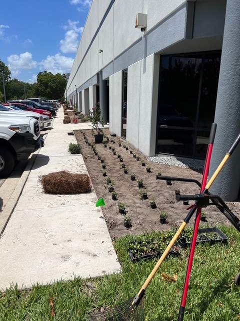 Executive Park | Various Projects by ProGreen Services