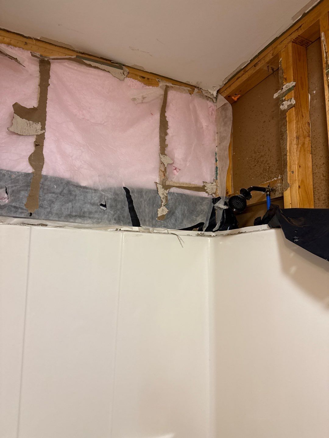 Bathroom and Crawlspace Water Damage and Mold by Healthy Home Solutions
