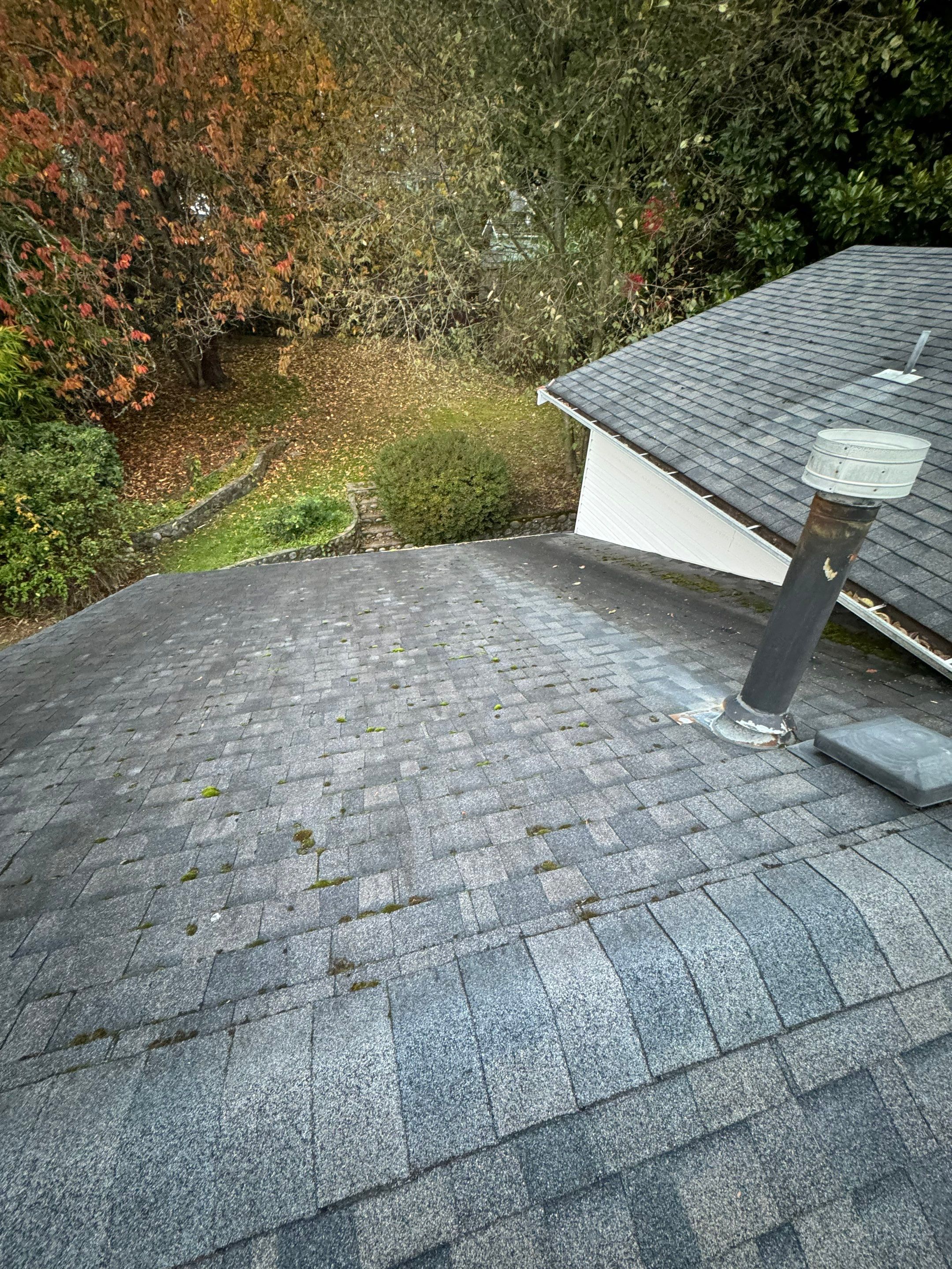 Roof cleaning by YVR Construction Group