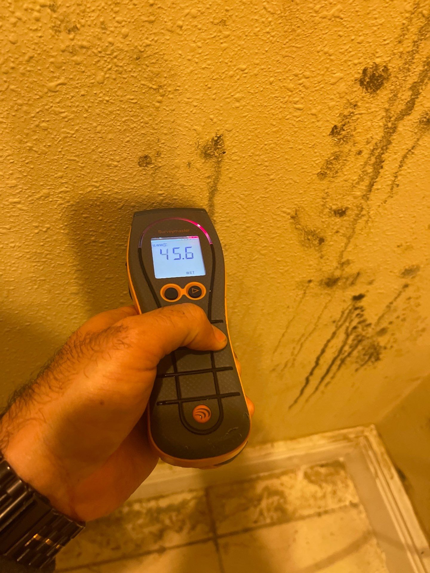 Mold remediation and rebuild of kitchen and living areas by Bay Coast Restoration 