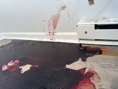 Suicide Cleanup in Middletown