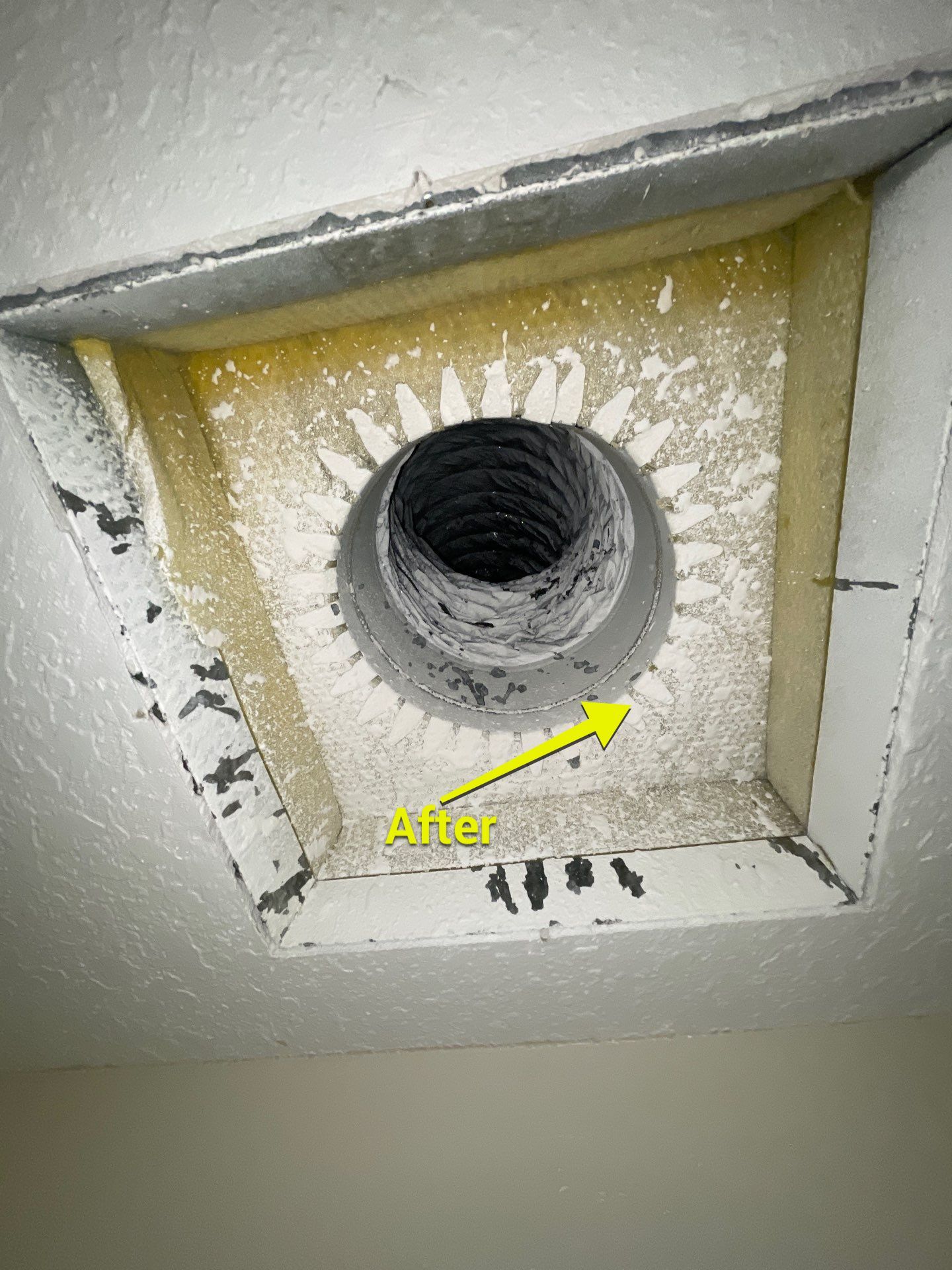 Air Duct Cleaning in Bartow by Hygienic Air, Inc