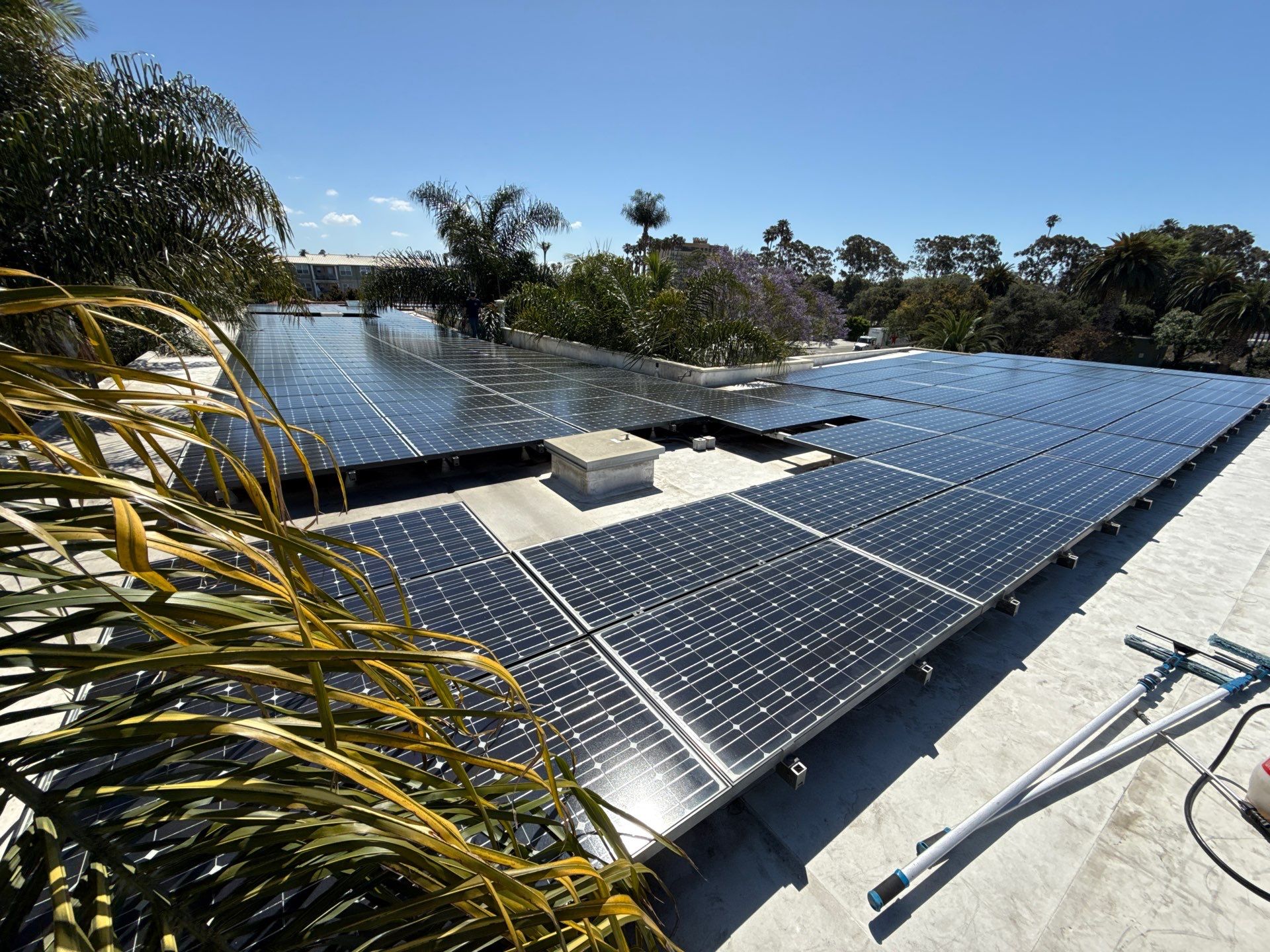 Commercial Solar Cleaning by Sunrise 805