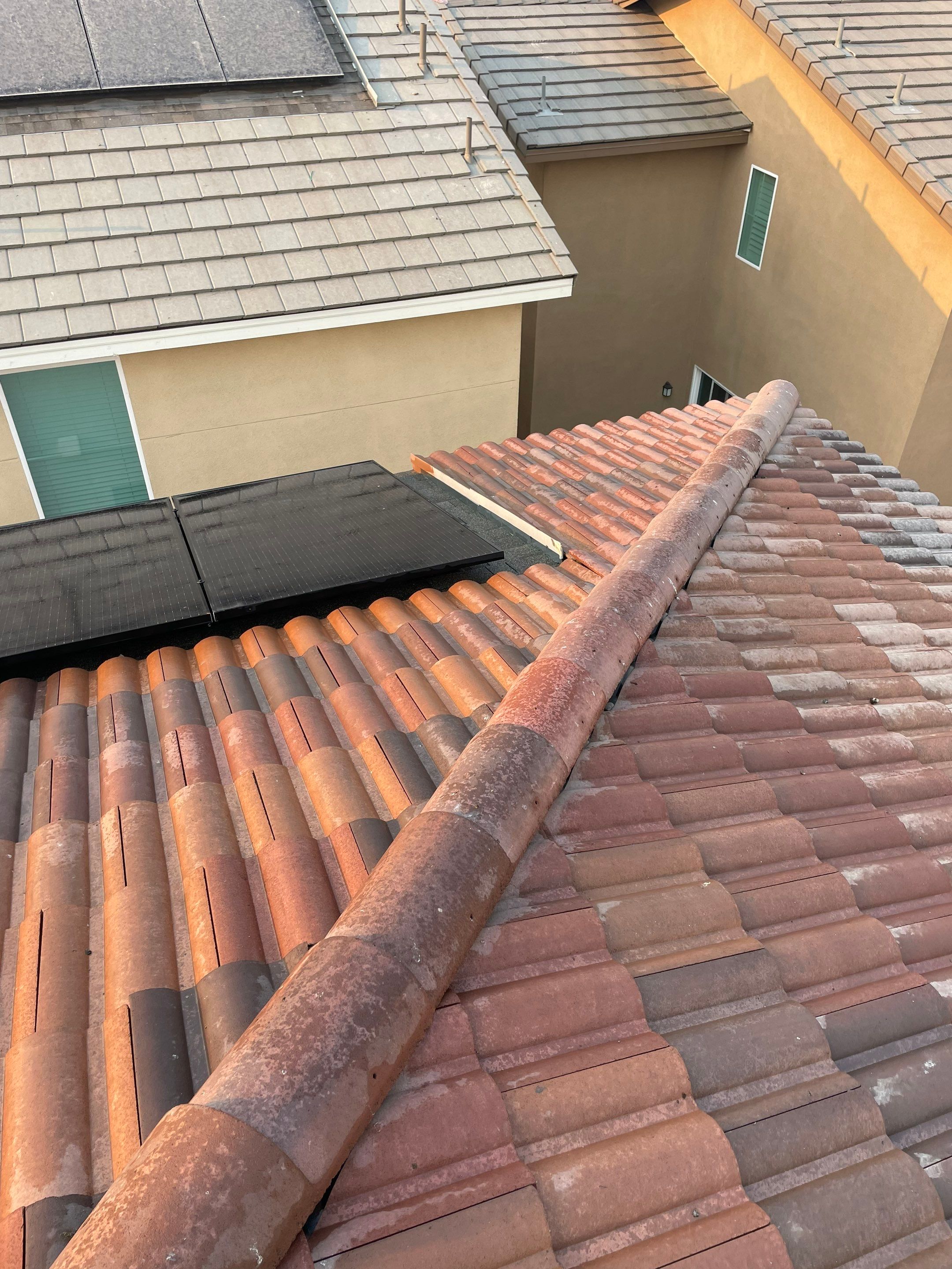 Solar Panel Bird Proofing in Ontario Ca by Palm Coast Solar Cleaning