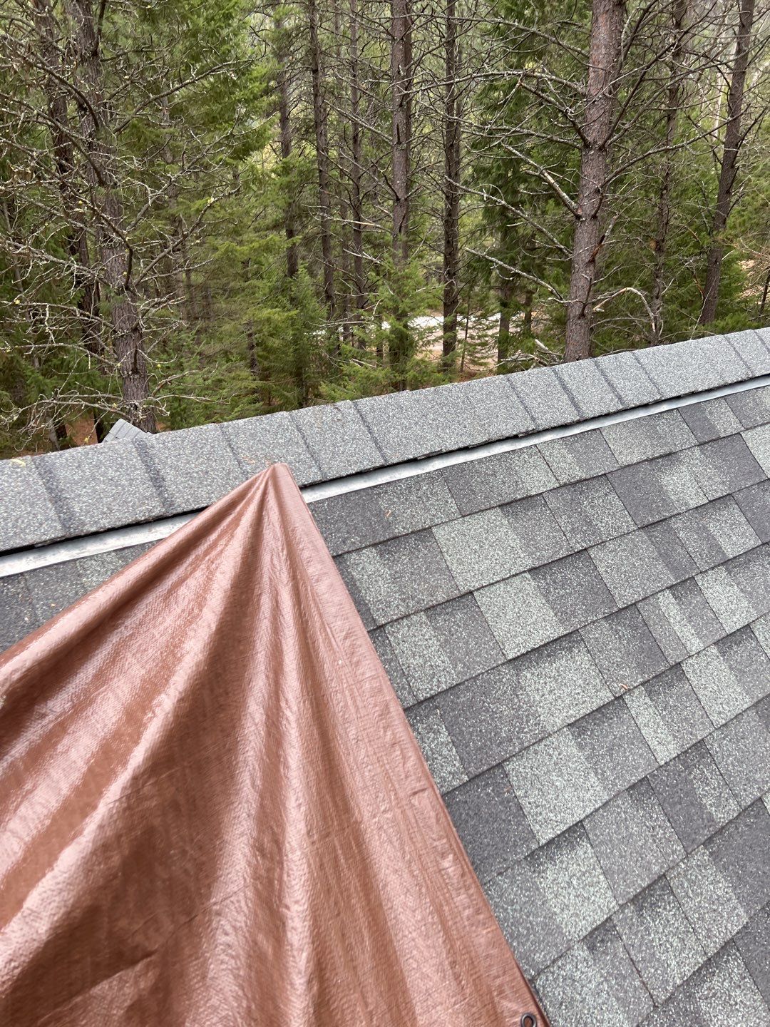 Green Snap Lock Standing Seam  by Montana Roofing Solutions