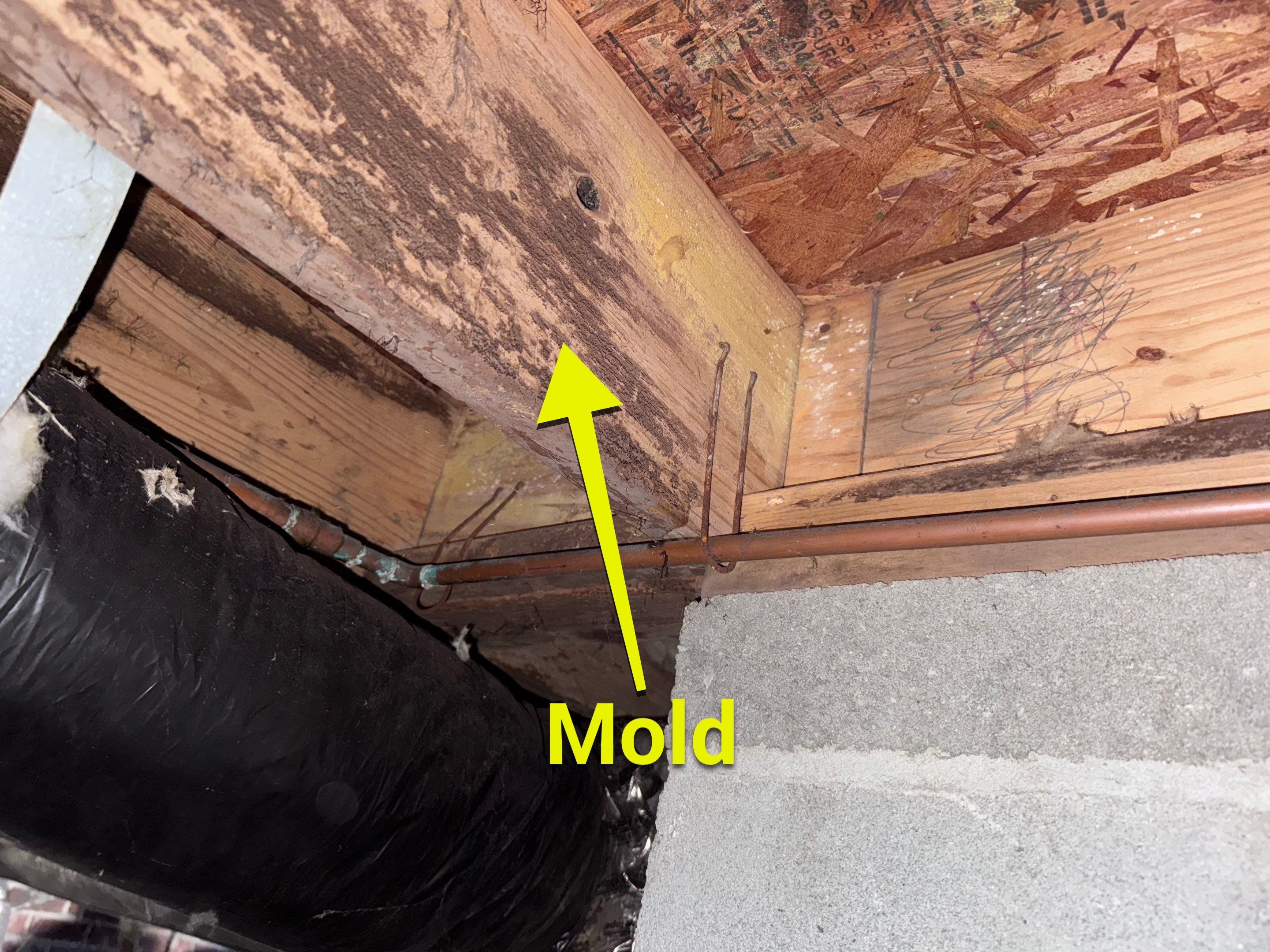 Structural Repairs inludiing sub-floor removal, new floor joists installed, girder replacmeent and dropped girder installed. by Impact Crawlspace