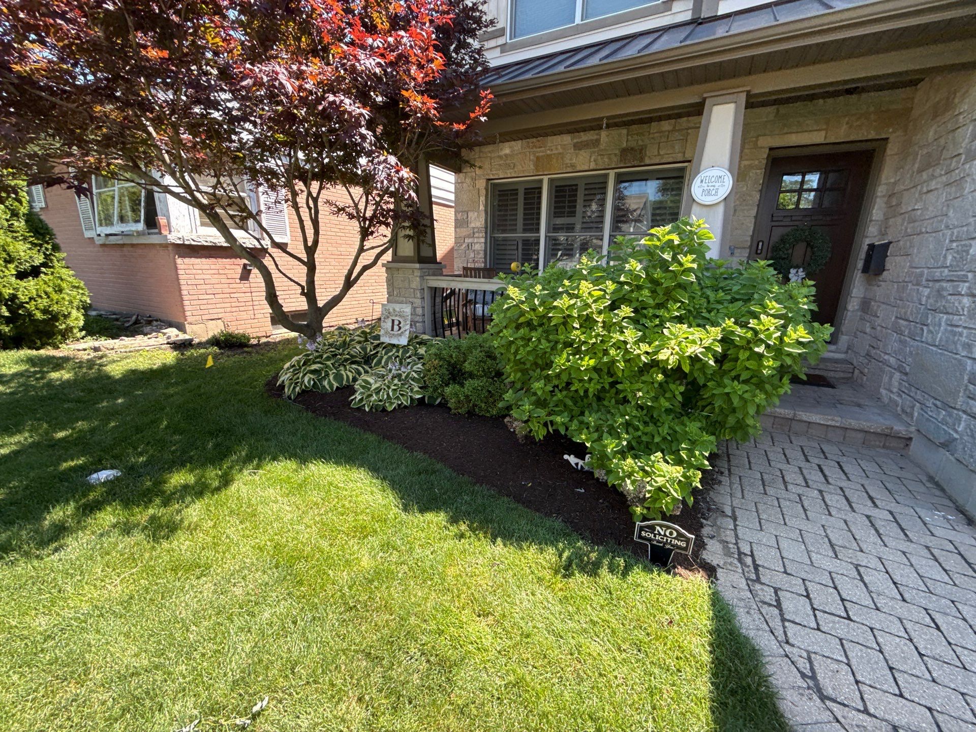 Tony B. - Arlington Heights, IL by A&N