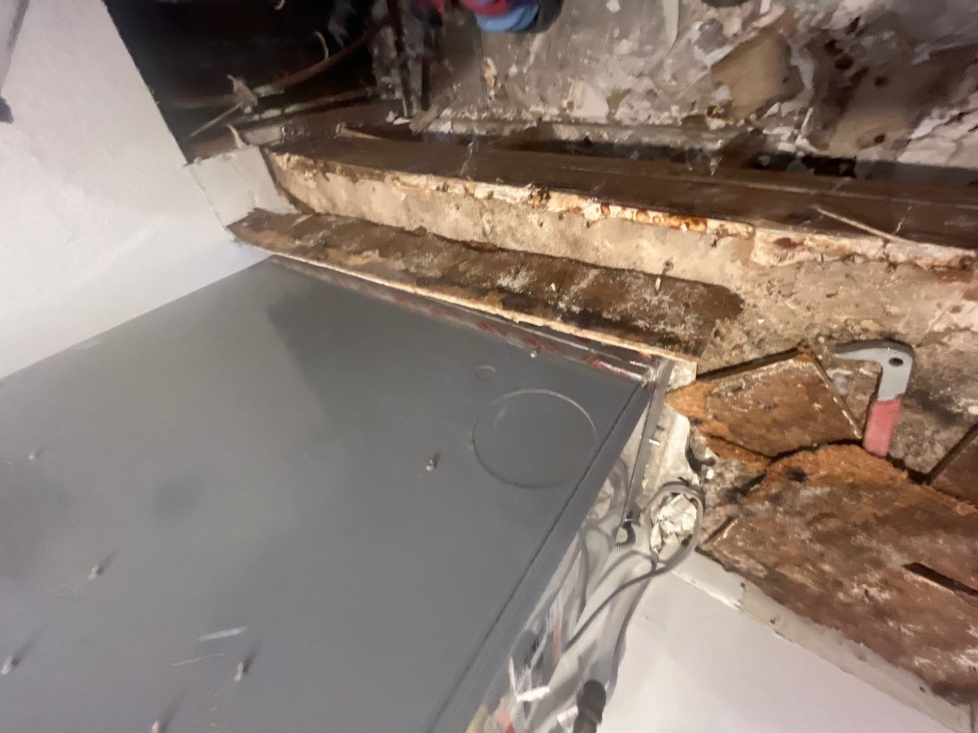 Mold Remediation & Rebuild in Laguna Niguel by One Stop Source