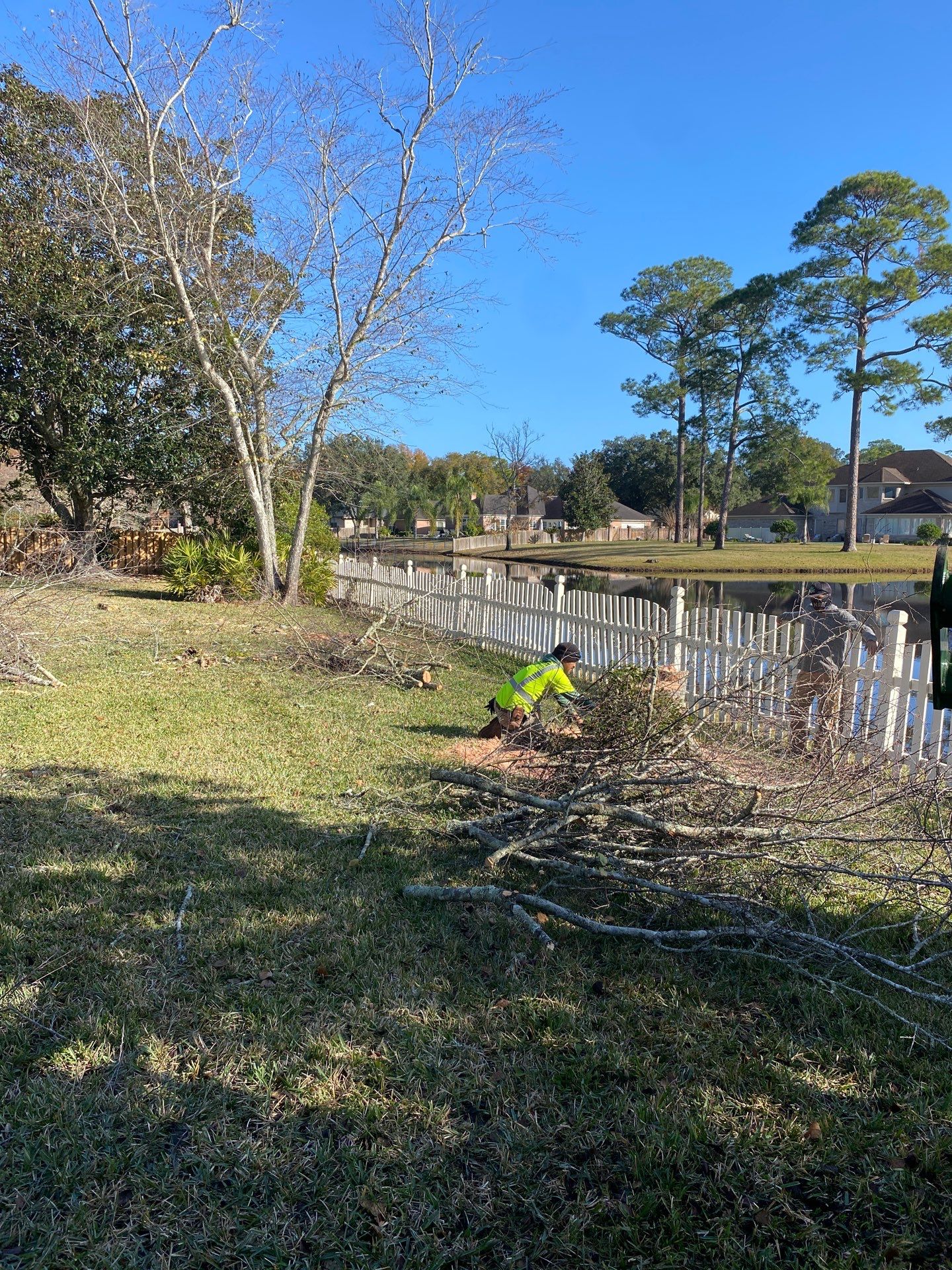 Deerwood Resident | Tree Removal & Palm Trimming by ProGreen Services