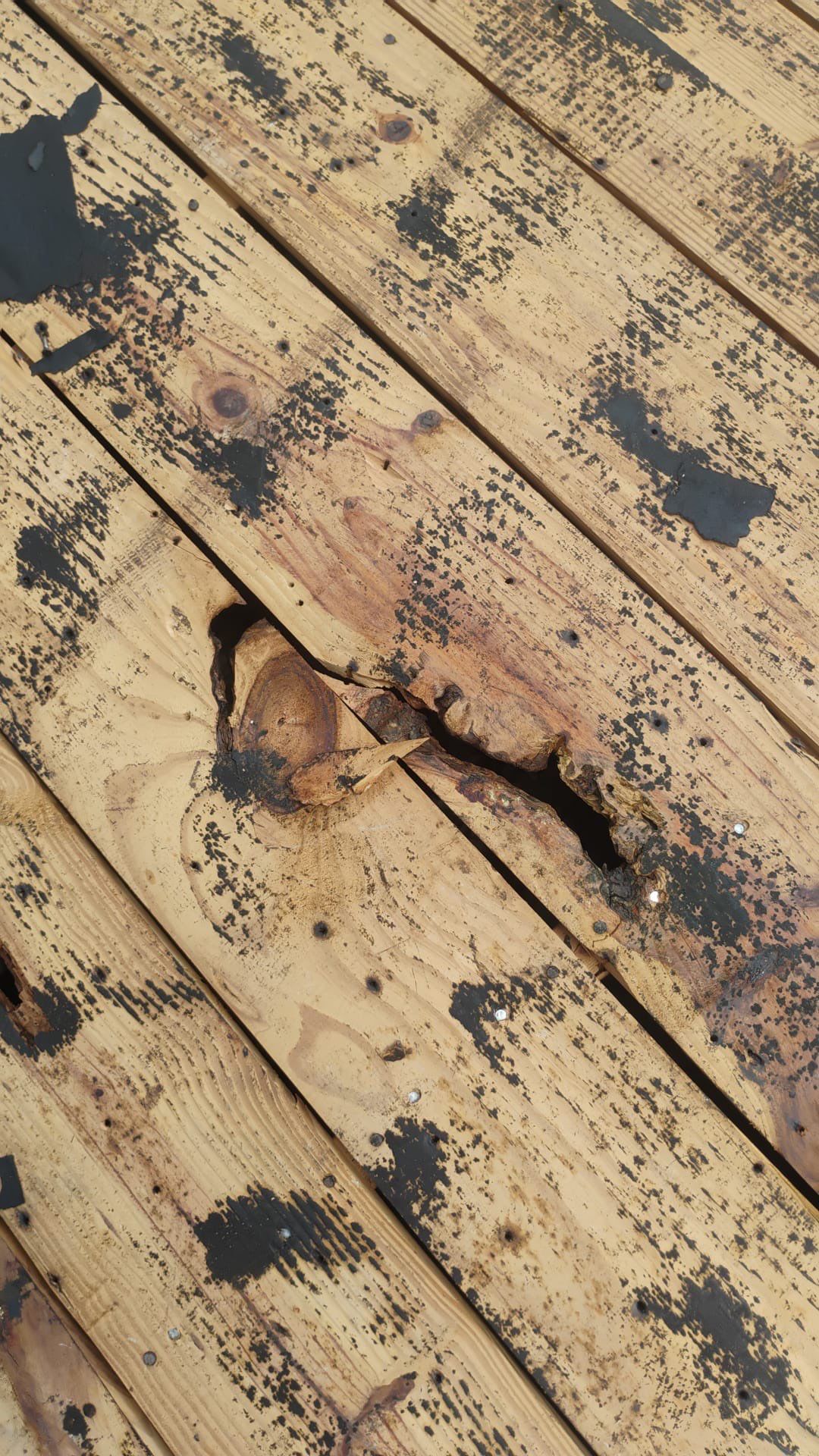 Project in Seminole 33772 by Mitchell Roofing Company LLC 