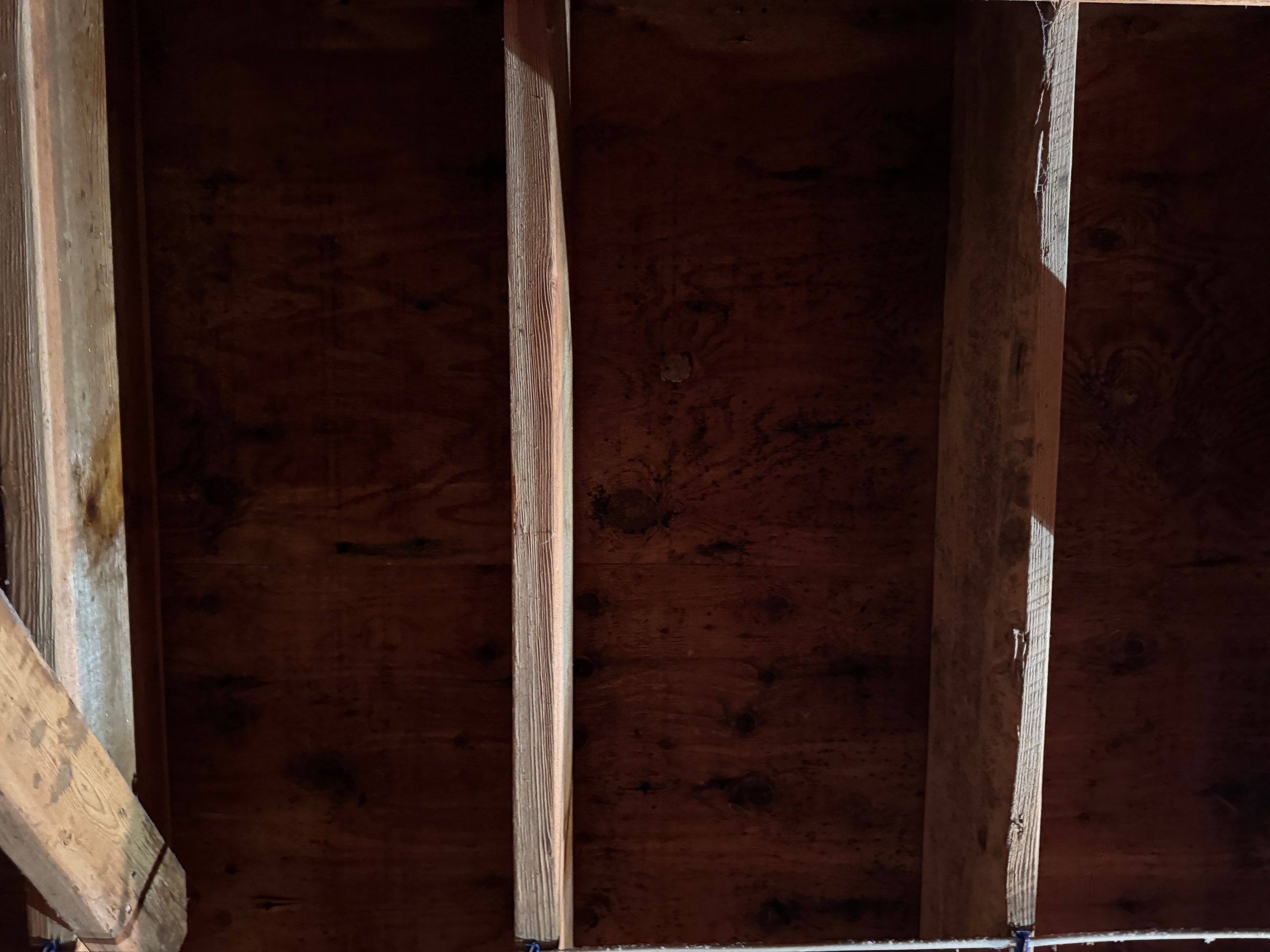 Attic Mold Remediation using Home Guarantee by Home Guarantee, LLC