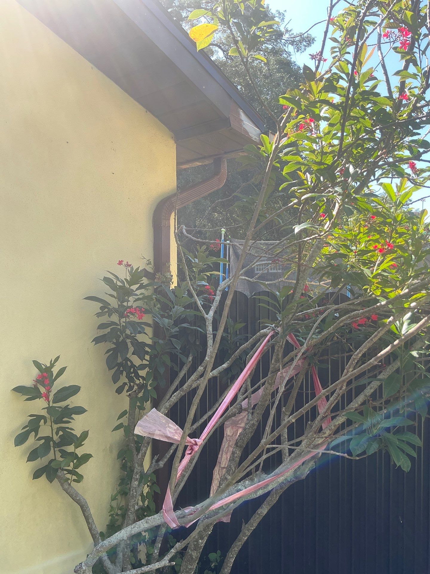 Musket Brown 6-Inch Gutters in Tampa FL by Gutter Professors