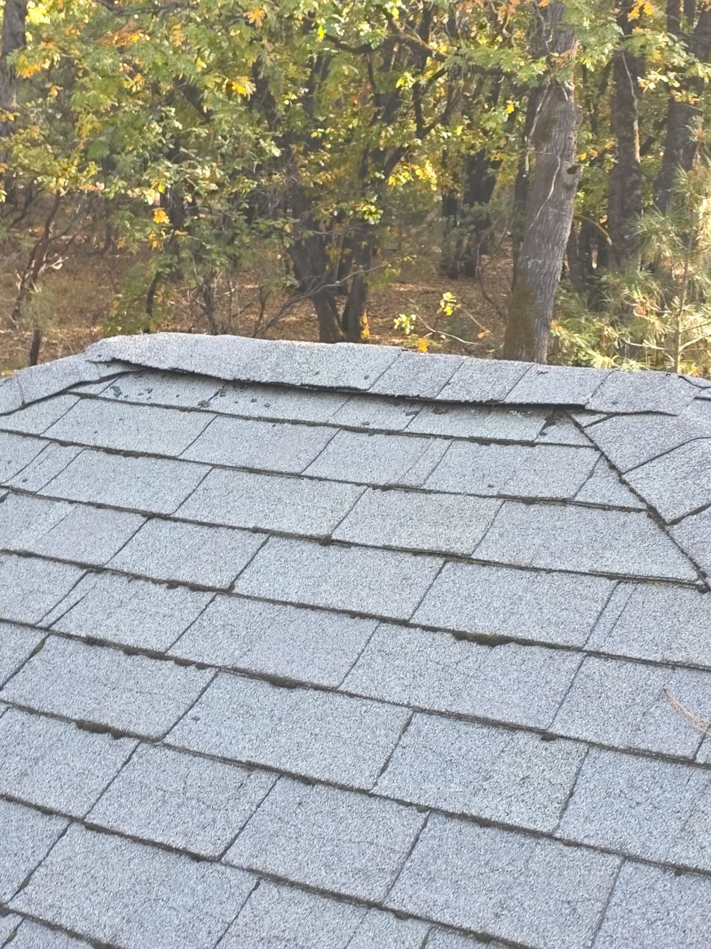 Roof Rejuvenation using Roof Maxx Treatment by Roof Maxx of Folsom