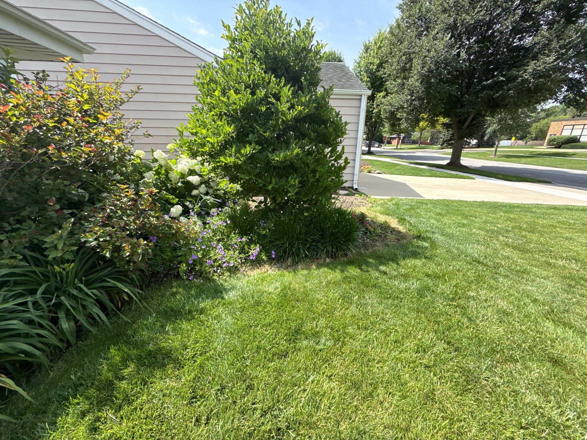 Cheris B. - Mount Prospect, IL by A&N 
