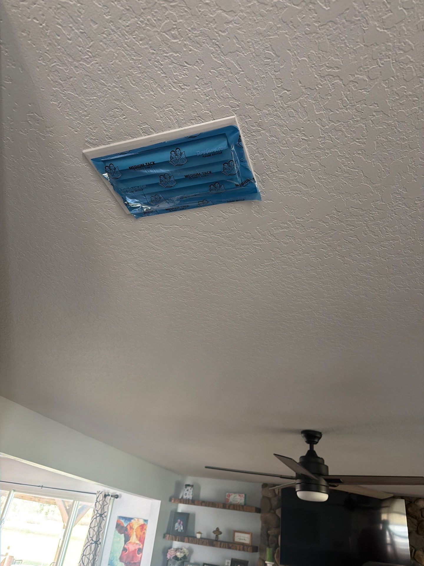 Air Duct Cleaning in Clermont by Hygienic Air, Inc