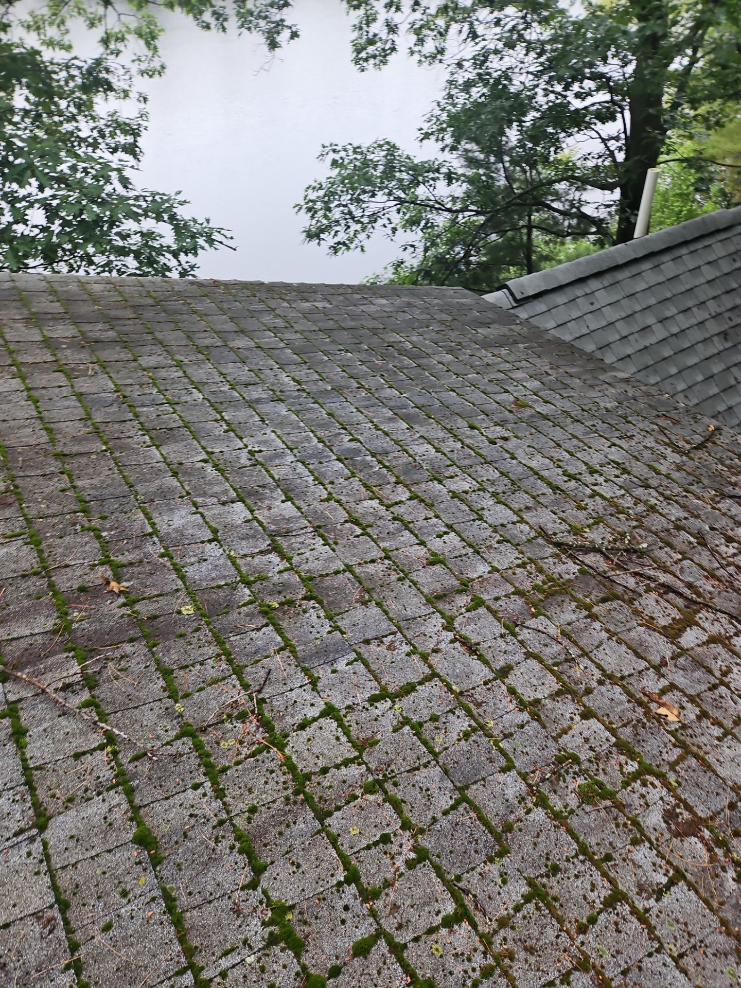 Leak Repair & Roof Wash – Groton, MA by Mighty Dog Roofing of Greater Middlesex County
