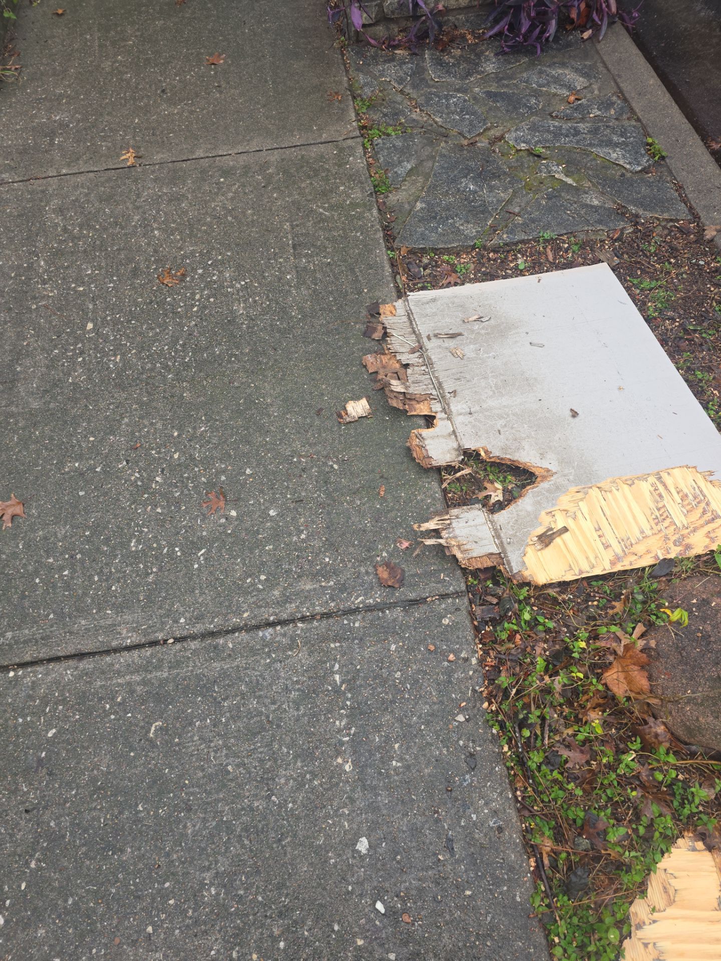 Budget friendly repair by REPS Austin Area Roofer