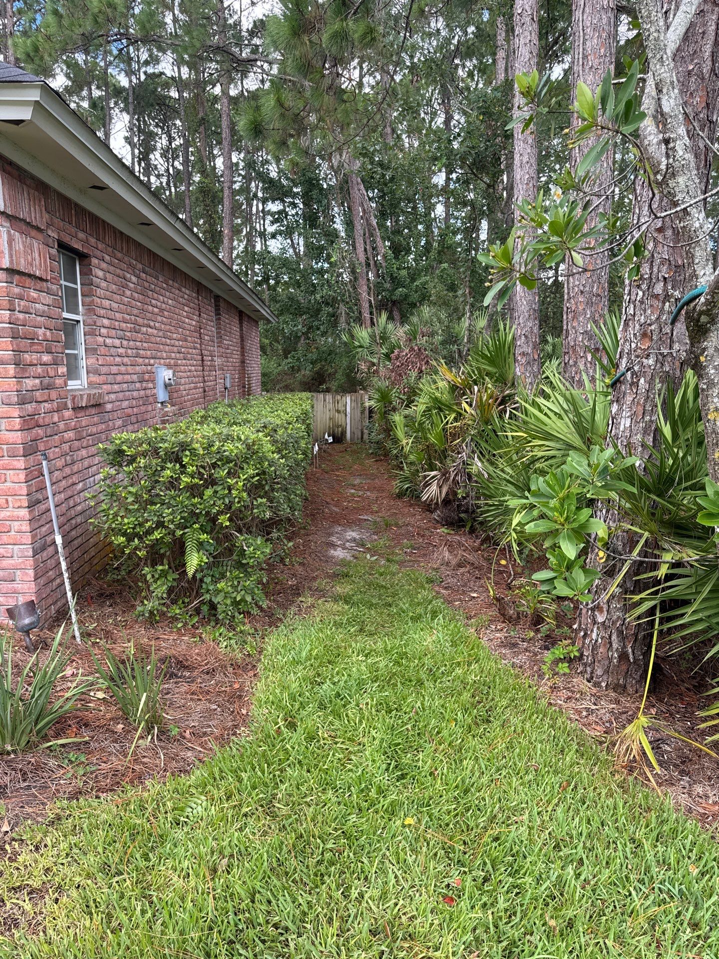 Residential | Shrub Trimming by ProGreen Services