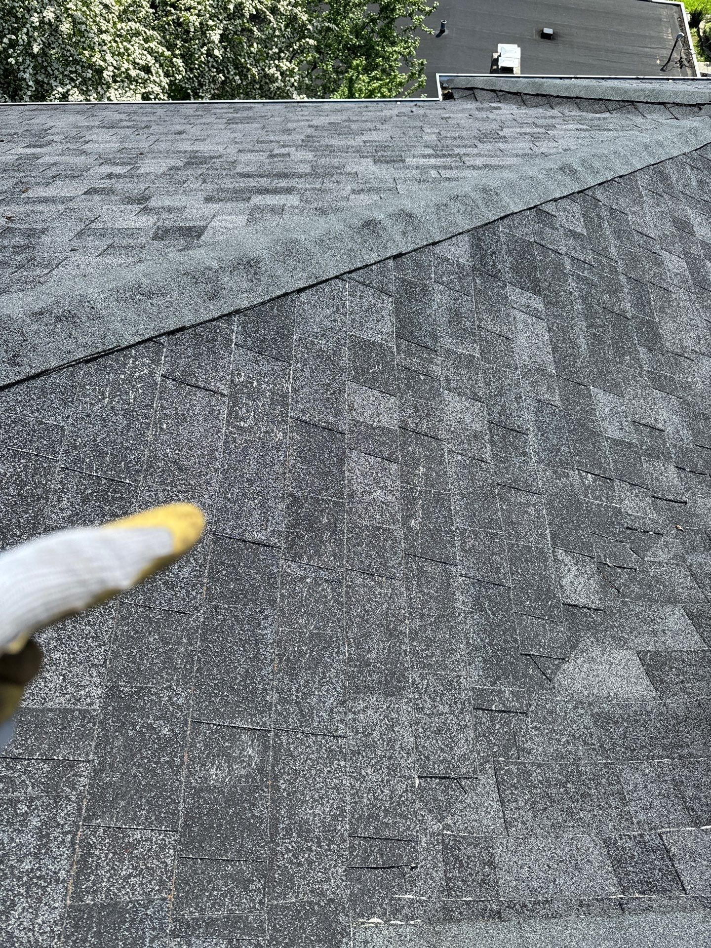 Project in Seattle by Peaks and Valleys Construction
