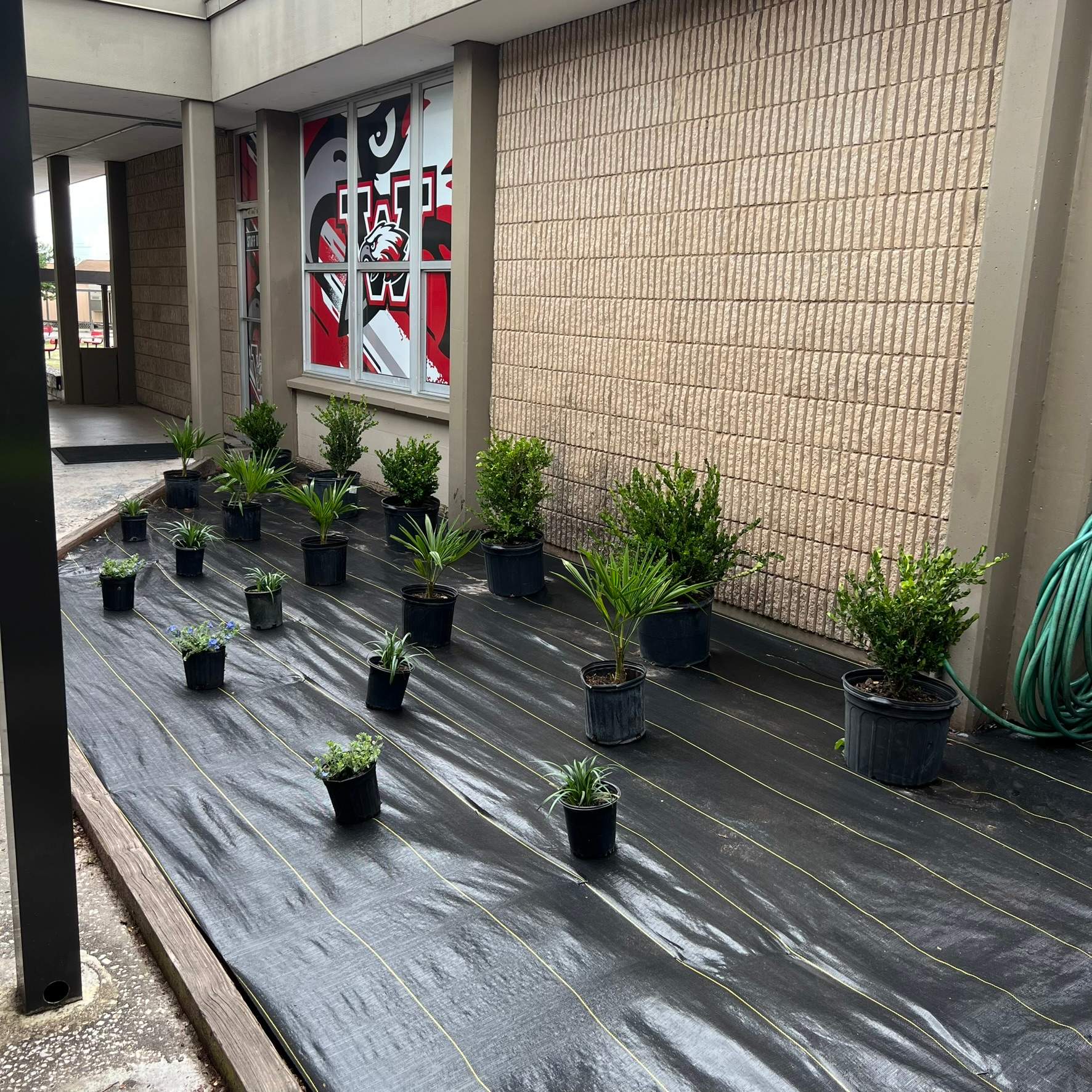 Landscape Install | Wilkinson JHS by ProGreen Services