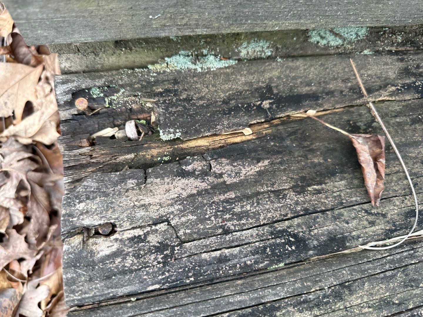 Dock using Wood Sealant by DuraSeal