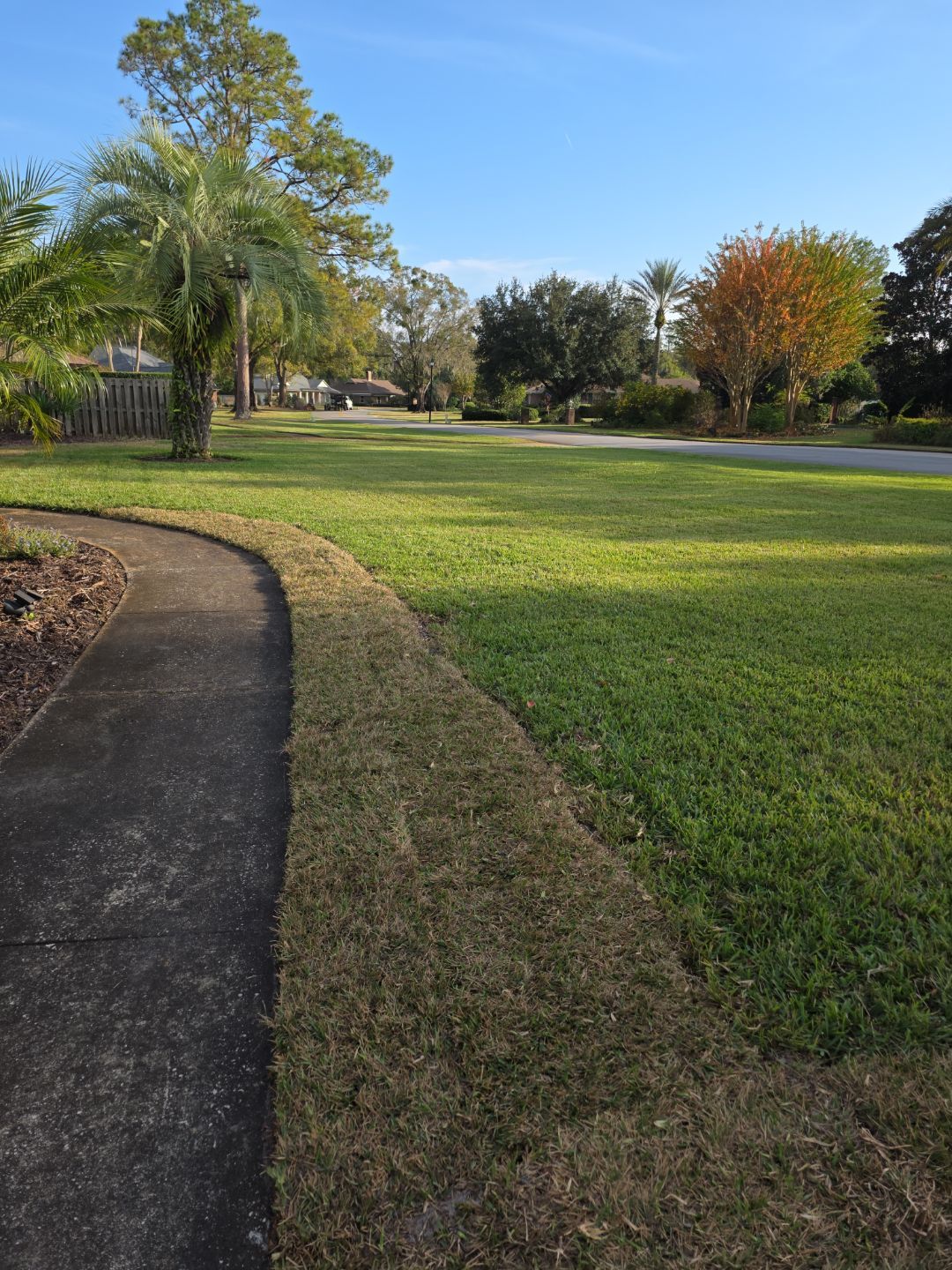 Deerwood Resident | Winter Sod Replacement by ProGreen Services