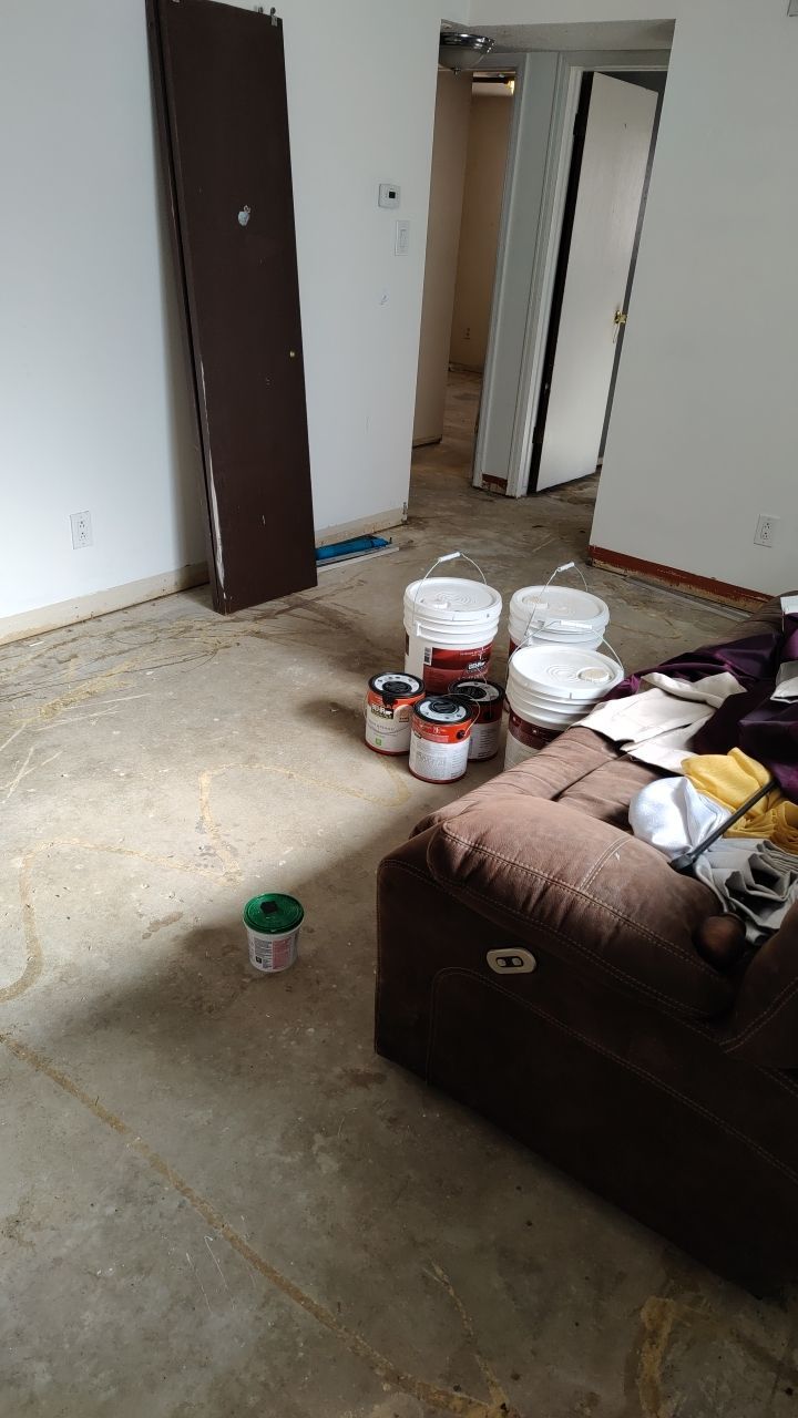 Mold Remediation by Accountable Home Services