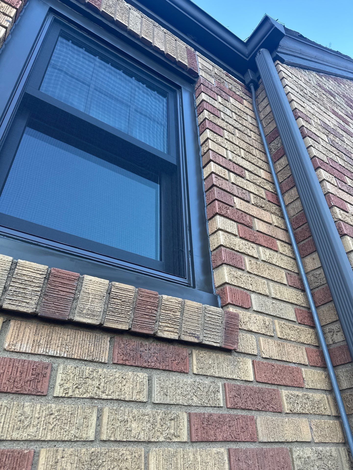 Dark Bronze Exterior Window Replacement Project in Omaha by Carps Complete Exteriors