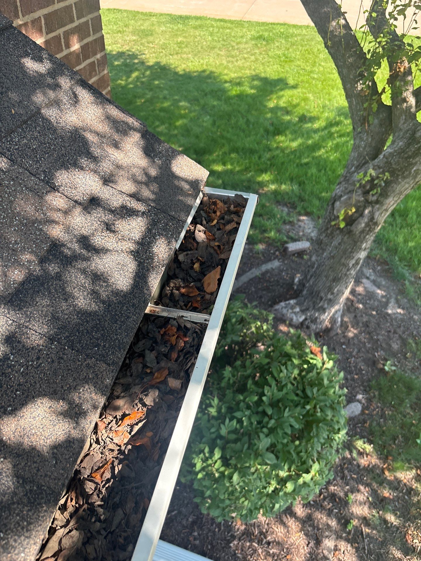 Commercial gutter cleaning Iowa City, IA before photo with filled gutters